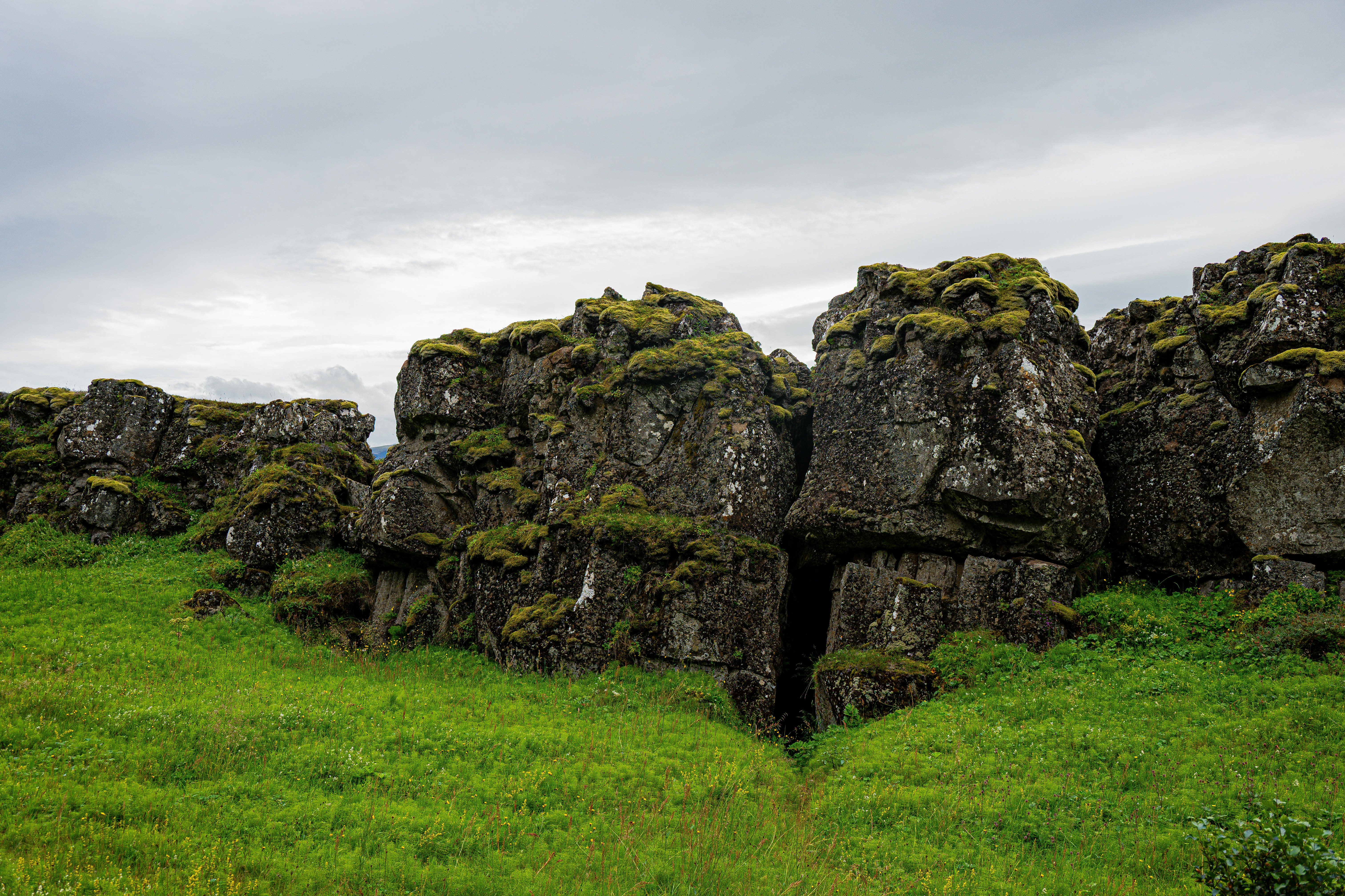 Photo by justmejuliee