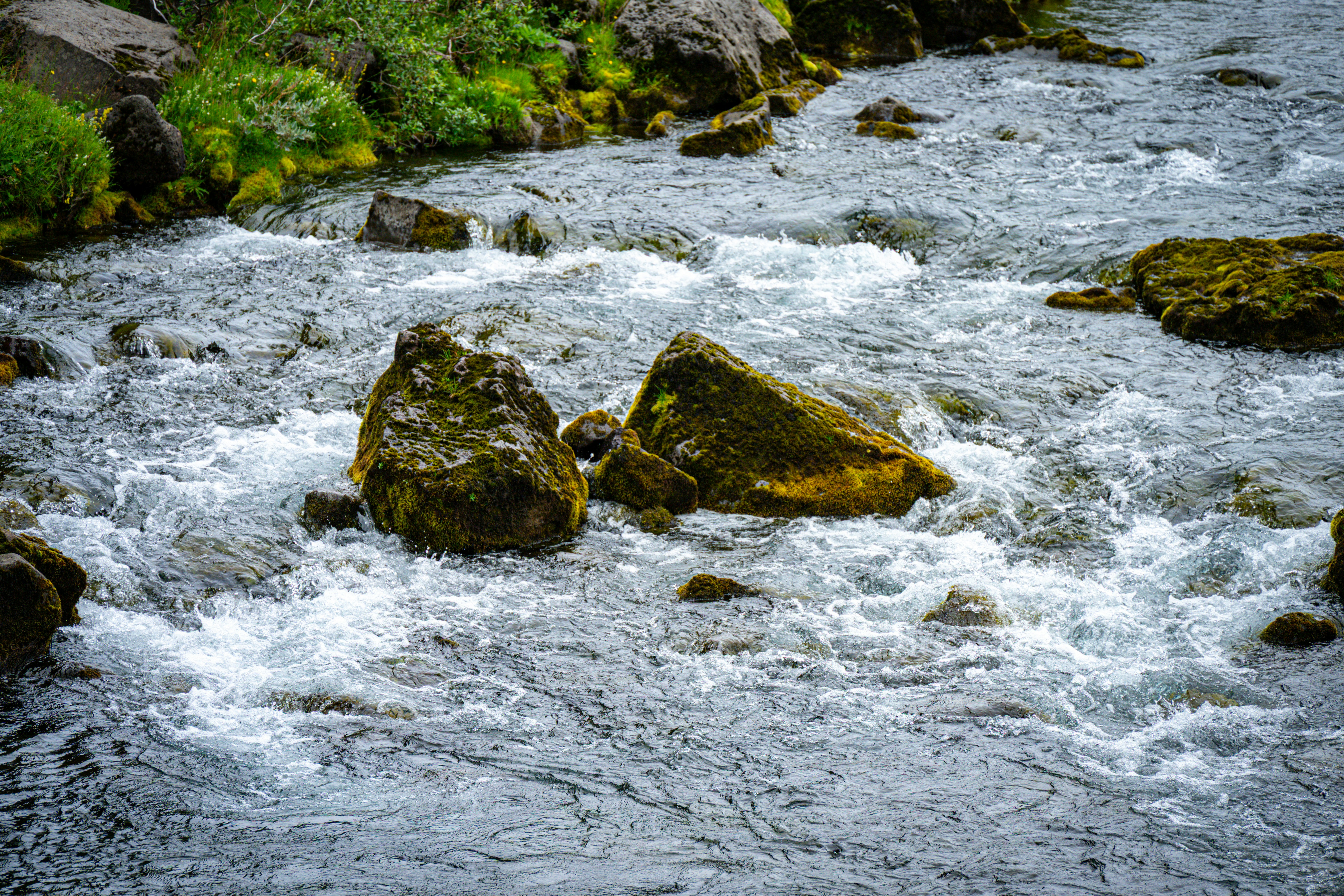 Photo by justmejuliee