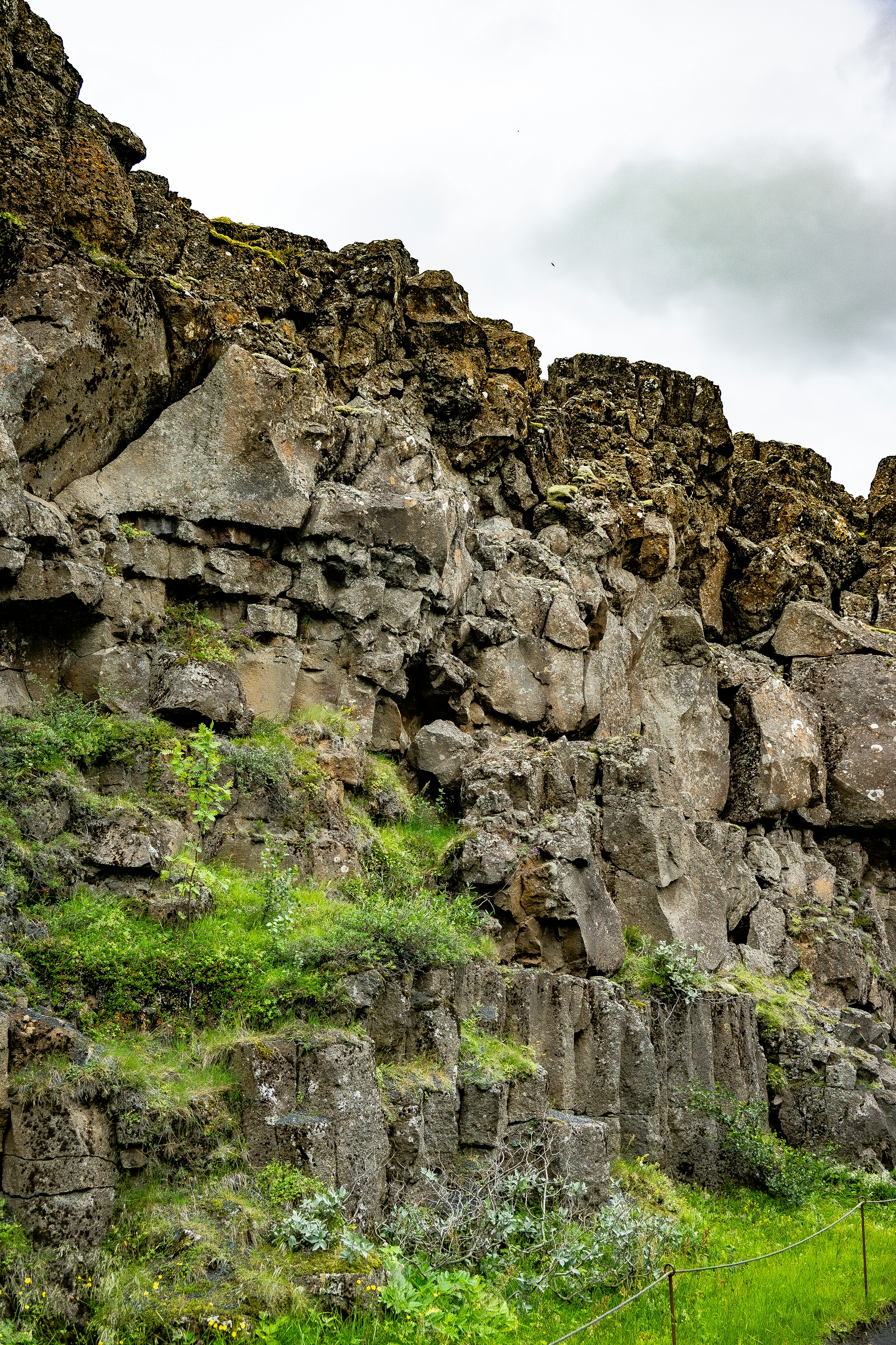 Photo by justmejuliee