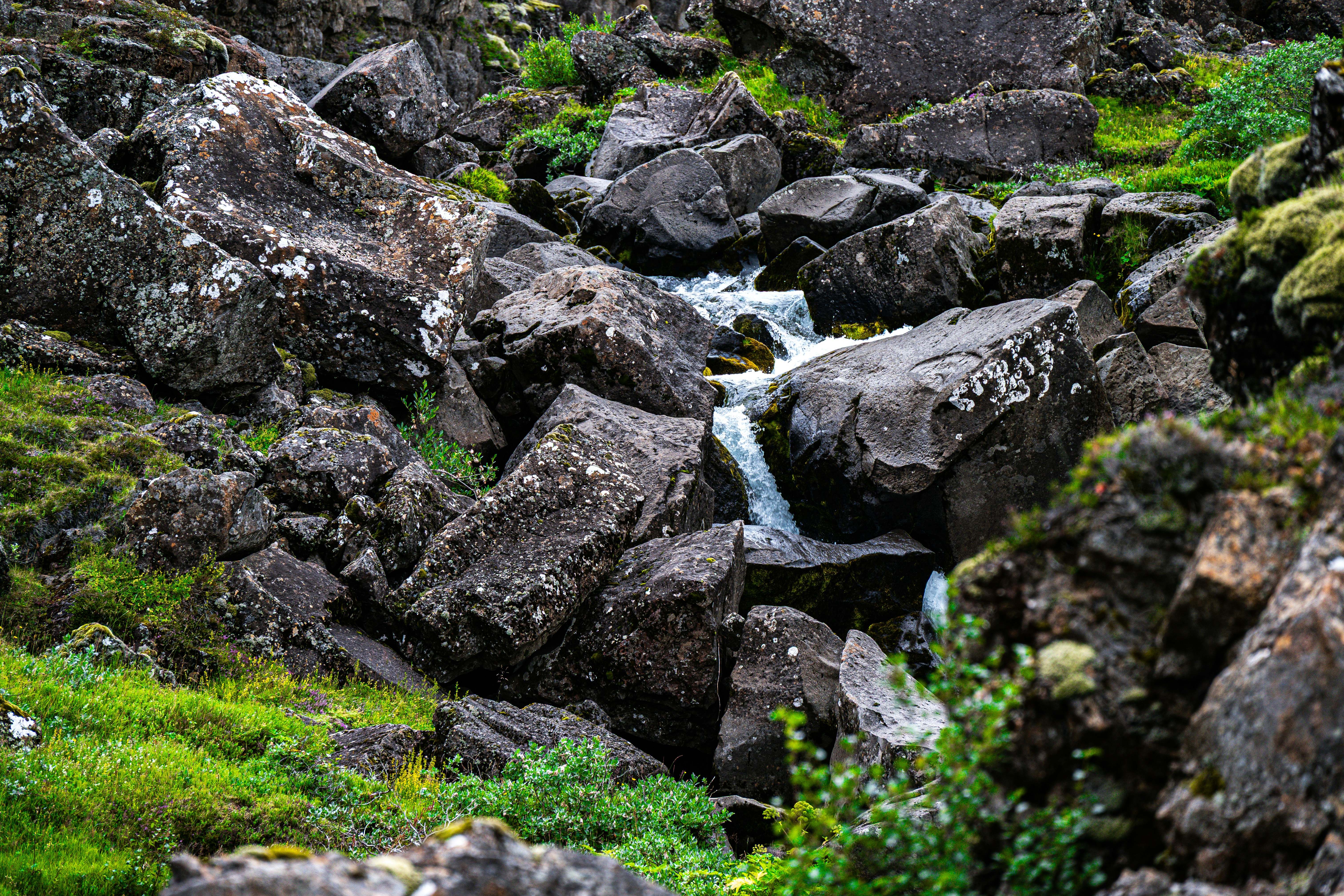 Photo by justmejuliee