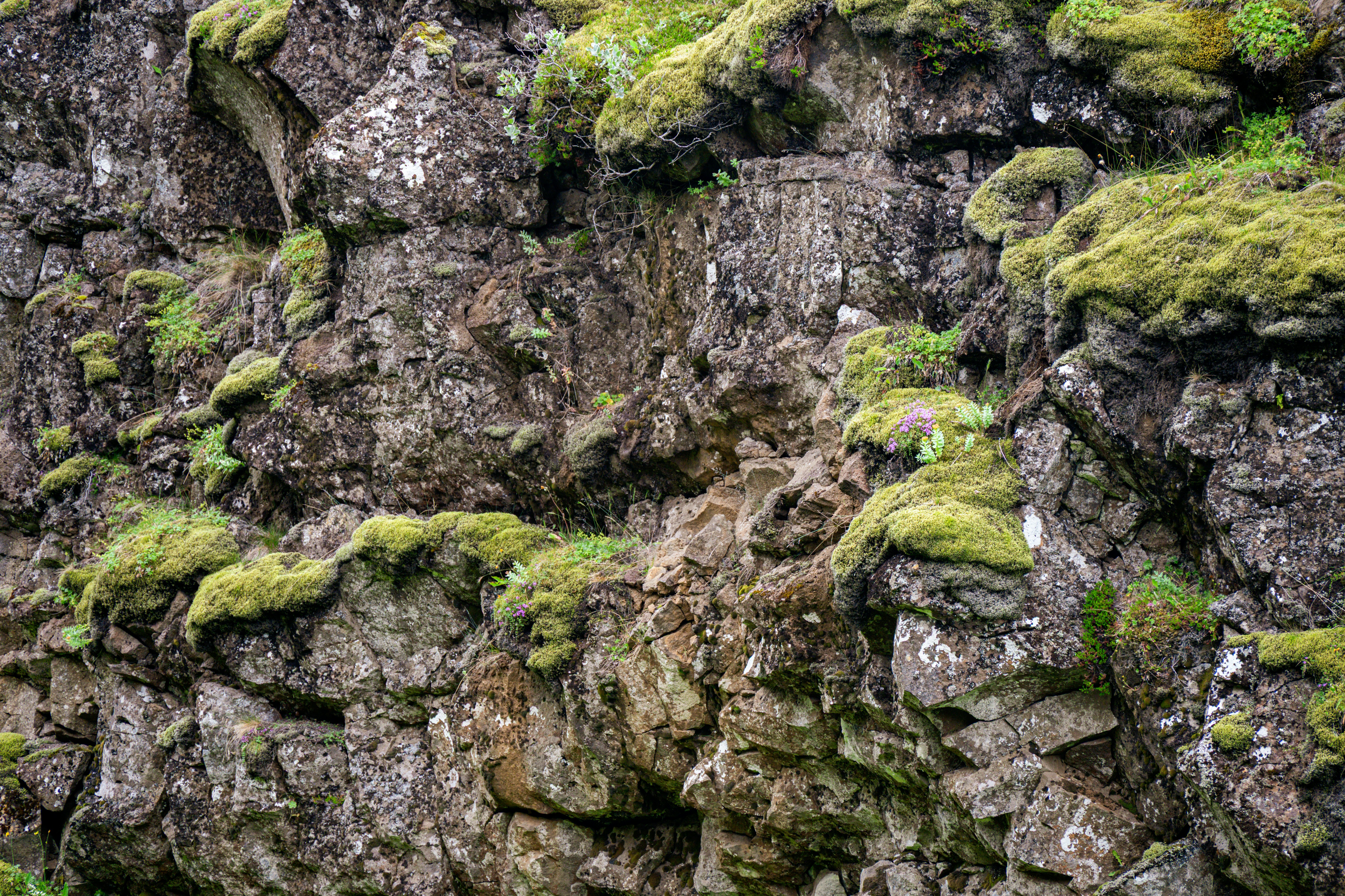 Photo by justmejuliee