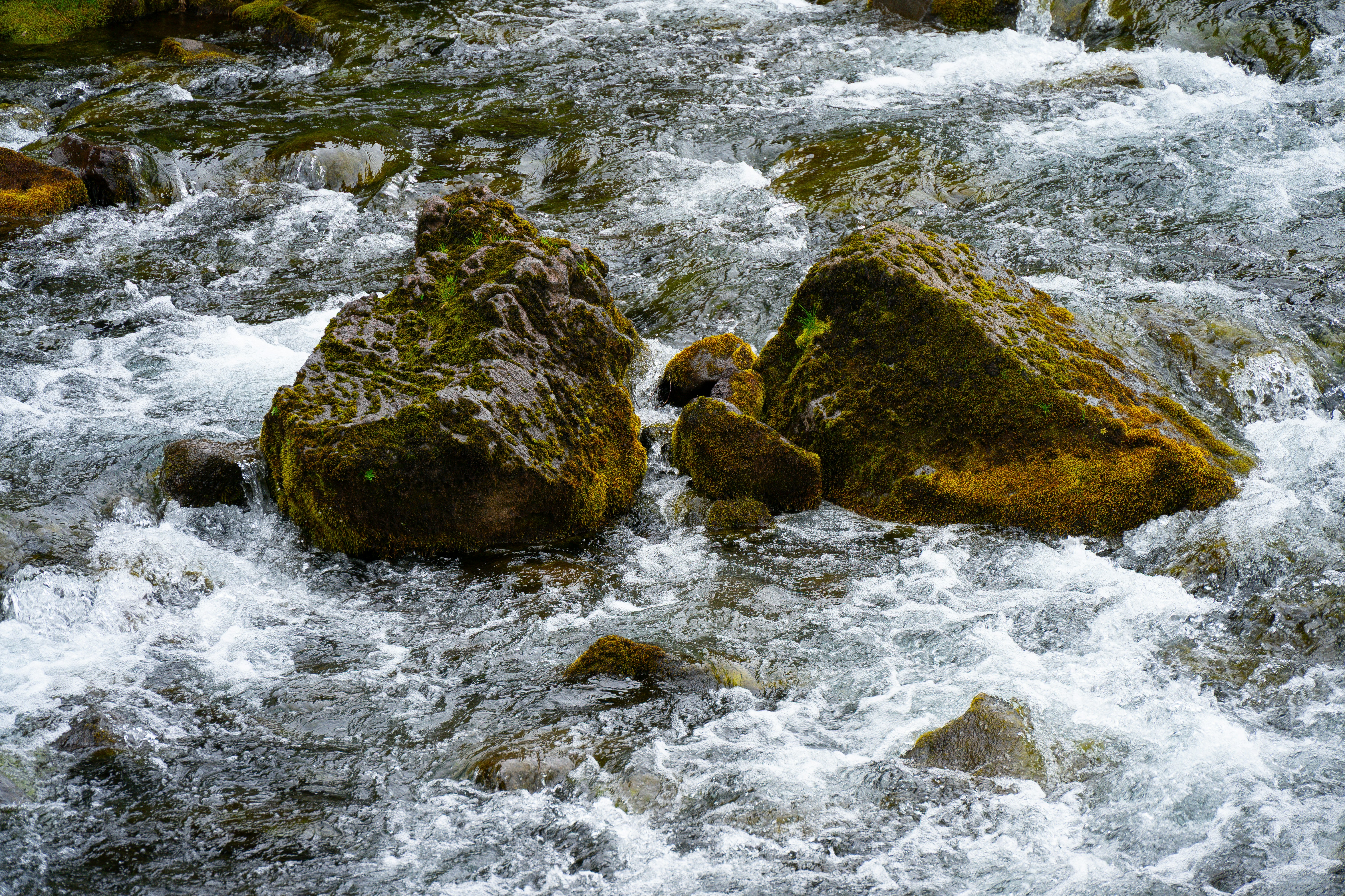 Photo by justmejuliee