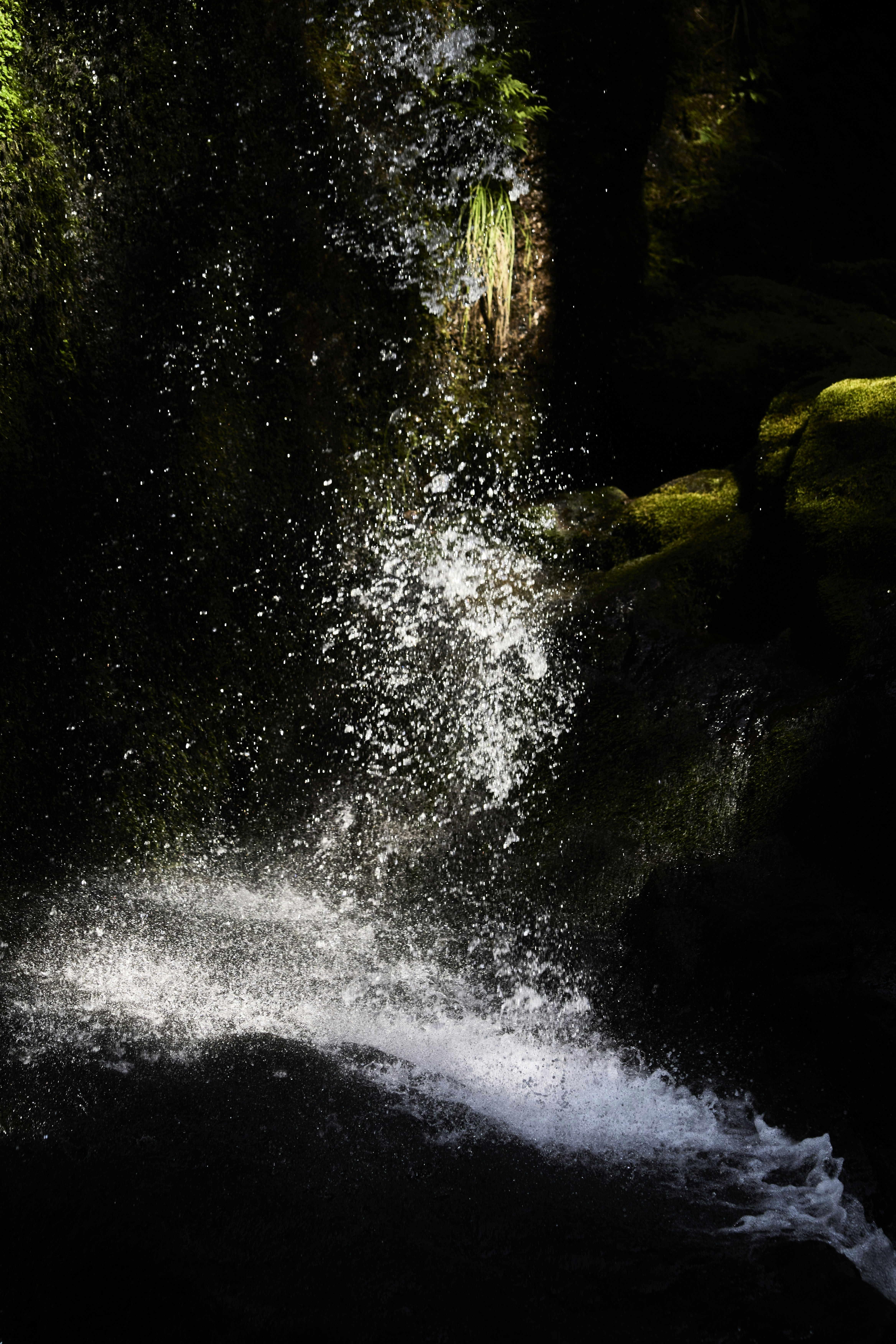 Photo by wolfgang_hasselmann