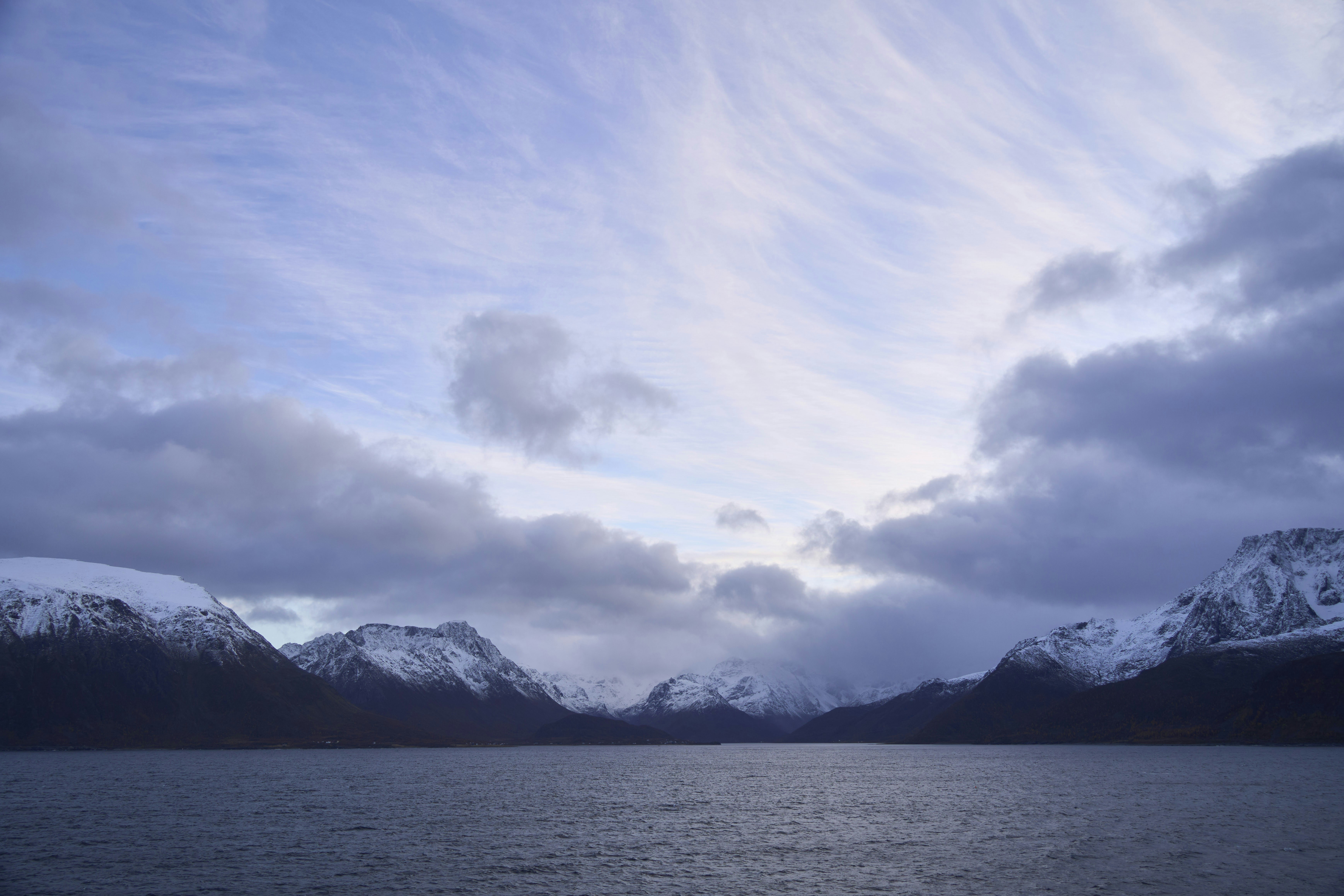 Photo by wolfgang_hasselmann