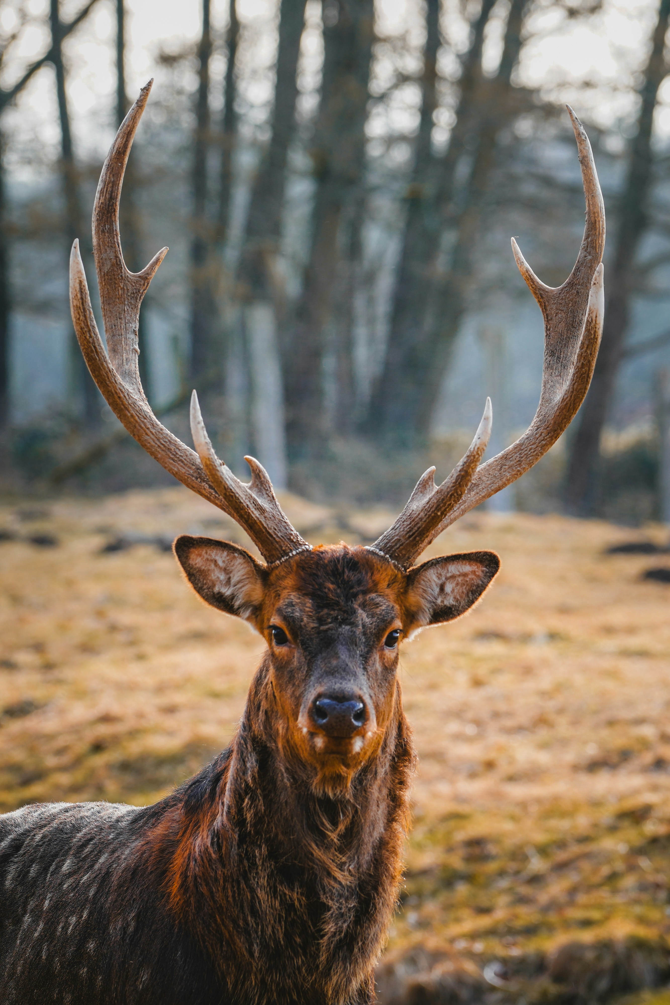 Photo by zm_fotographie