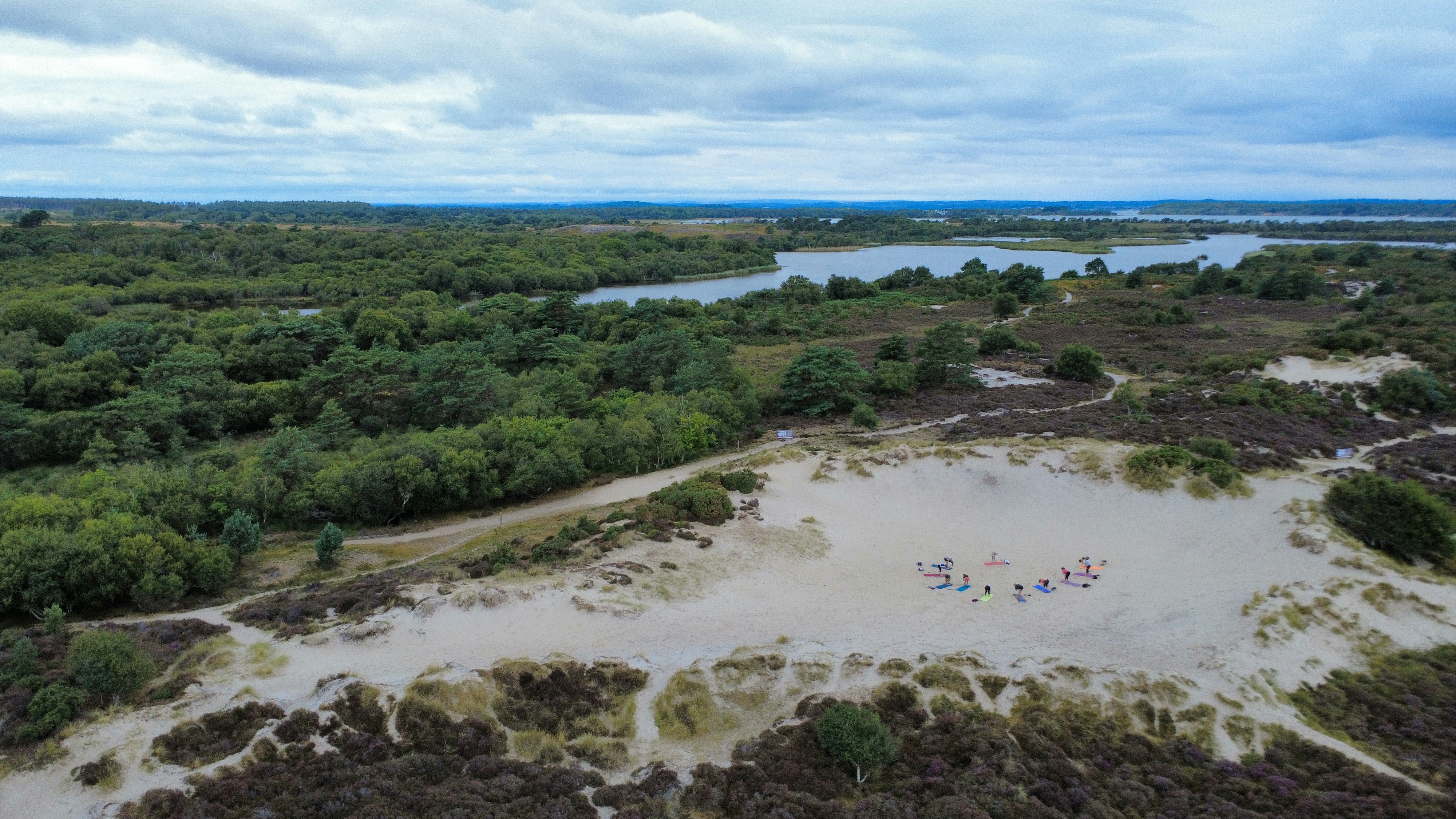 Sandy dunes meet lush greenery and a lake.