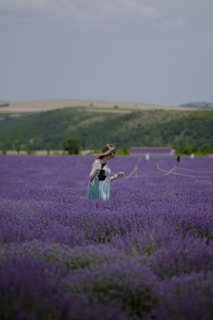 Woman takes photos in a vast lavender field.