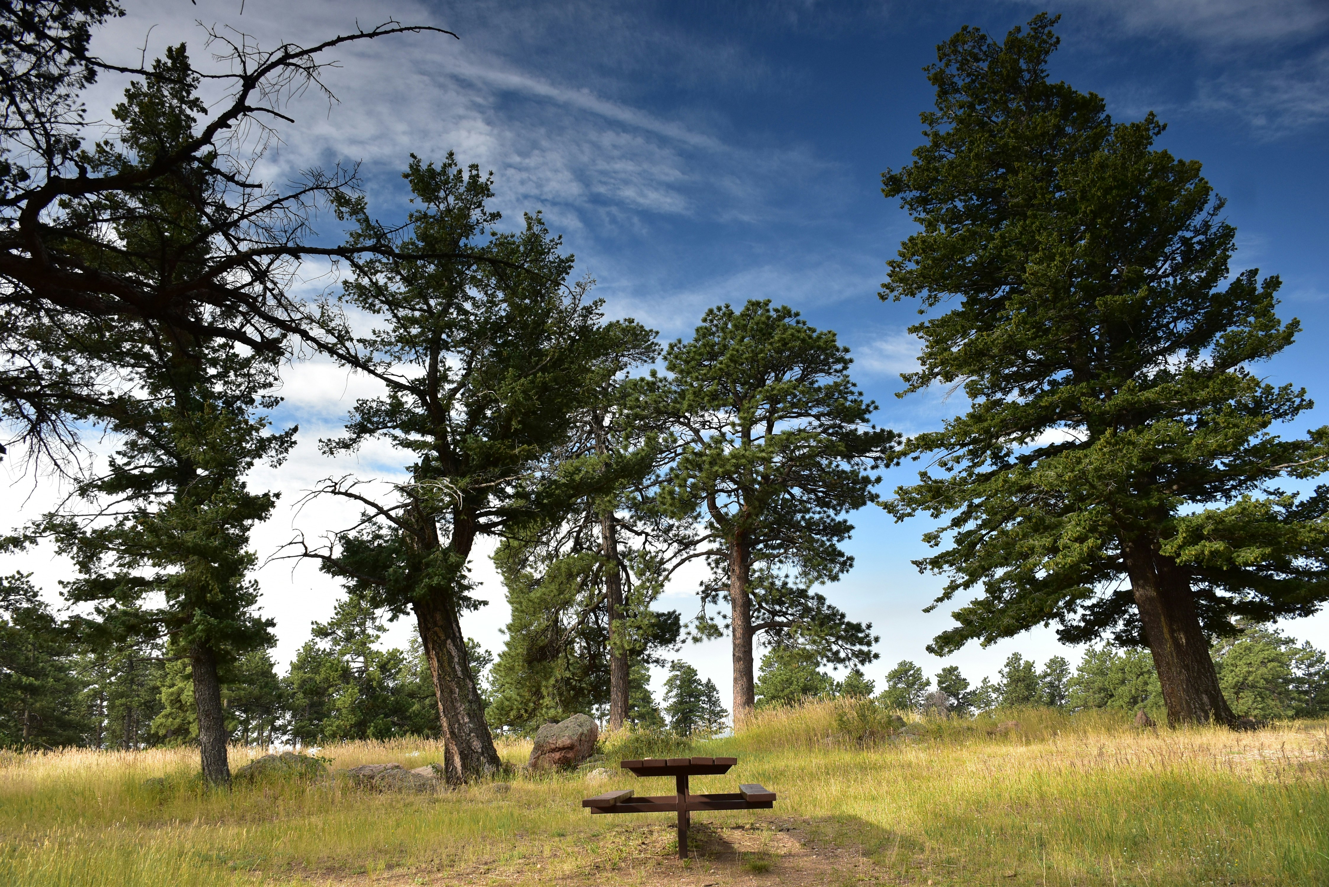 Brad Regan Memorial Park