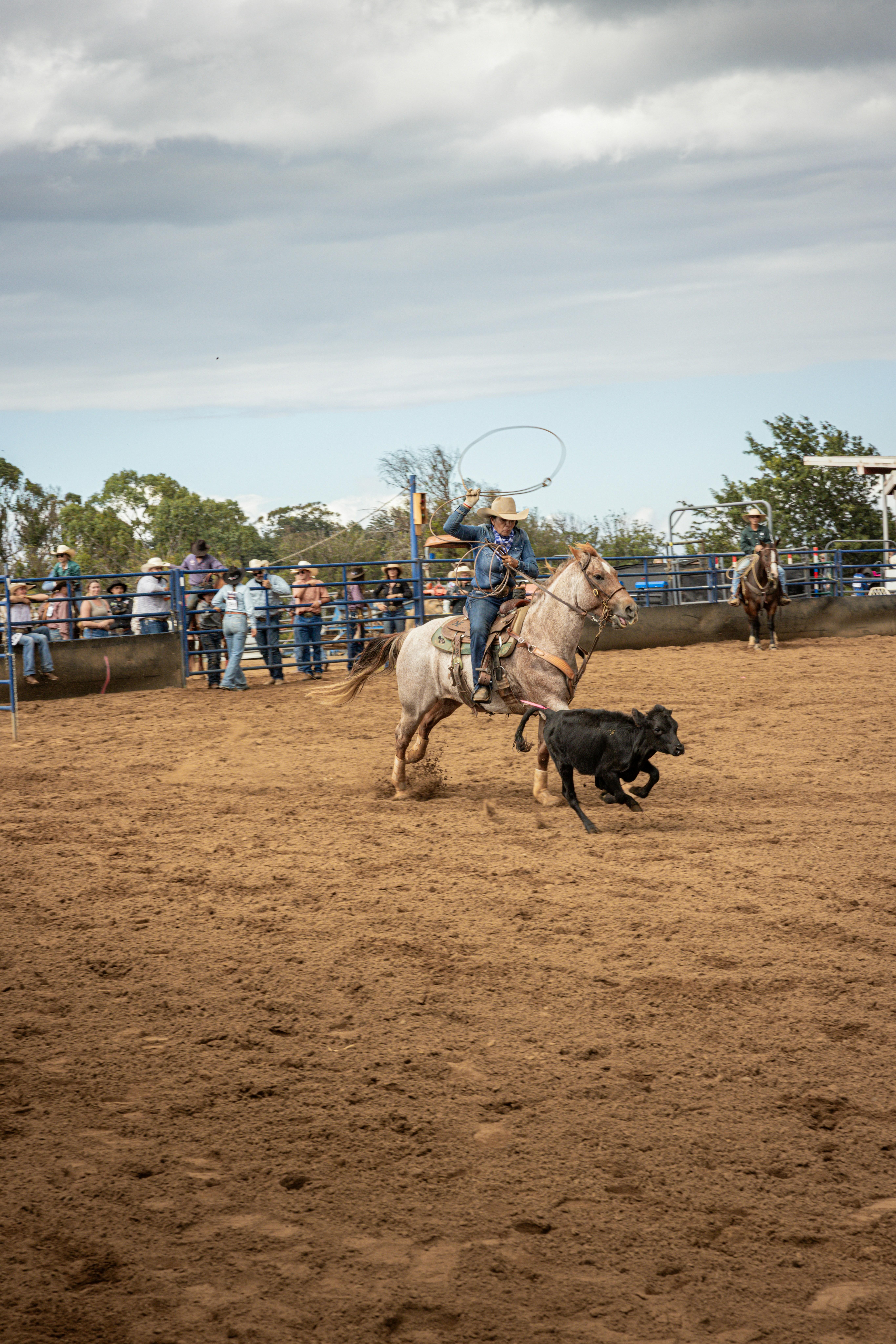 Photo by digitalreachmarketing