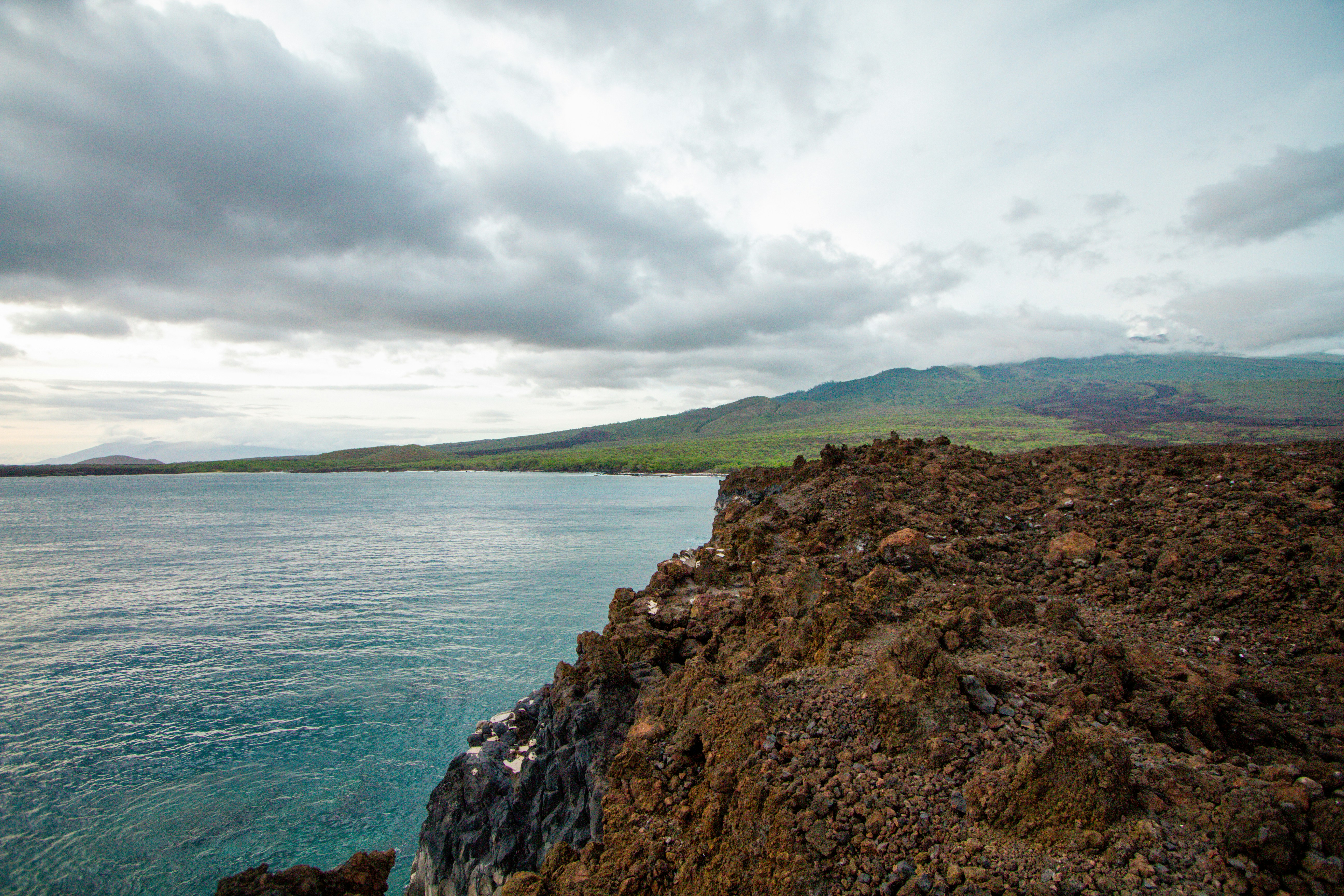 Photo by shanehawaii