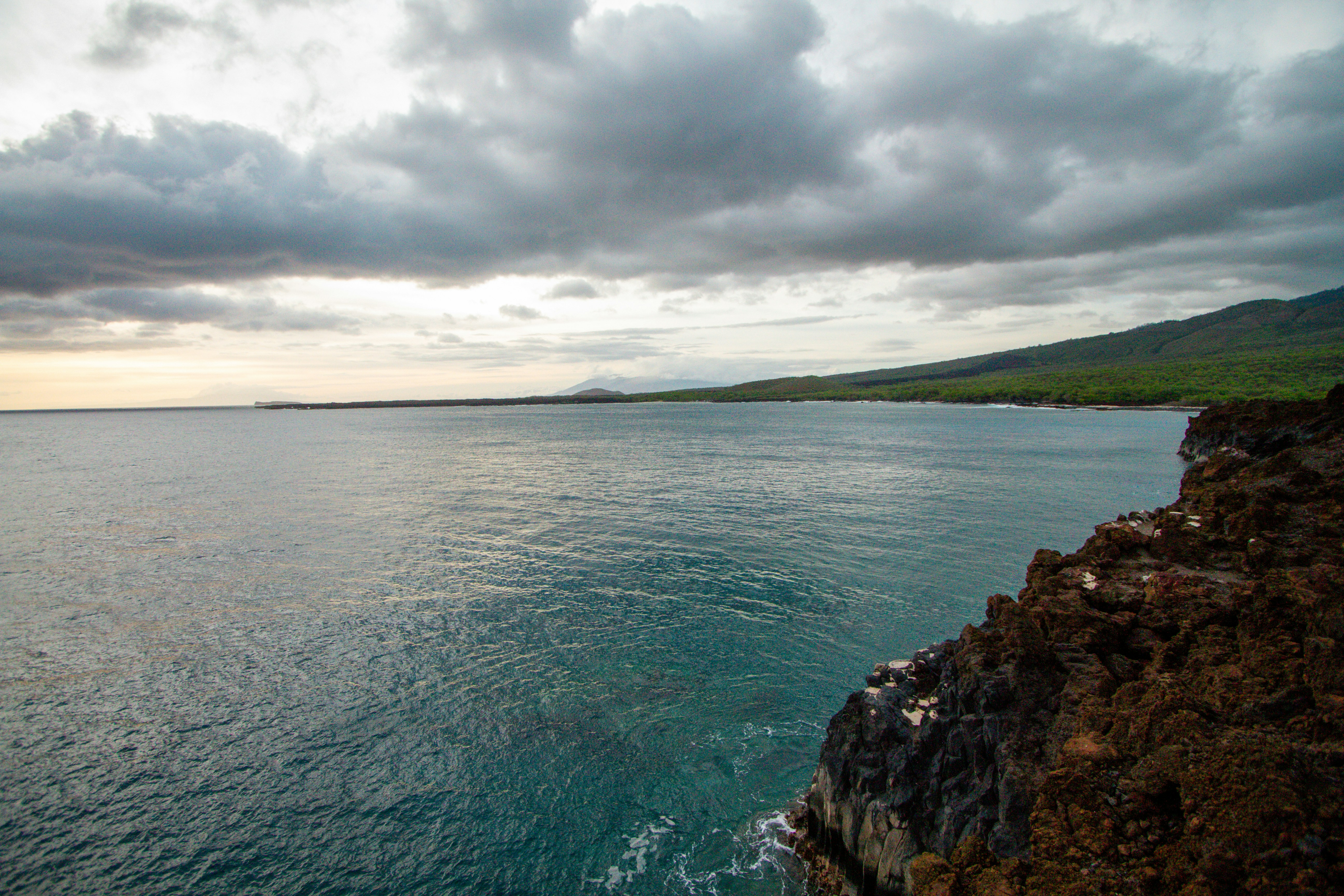 Photo by shanehawaii