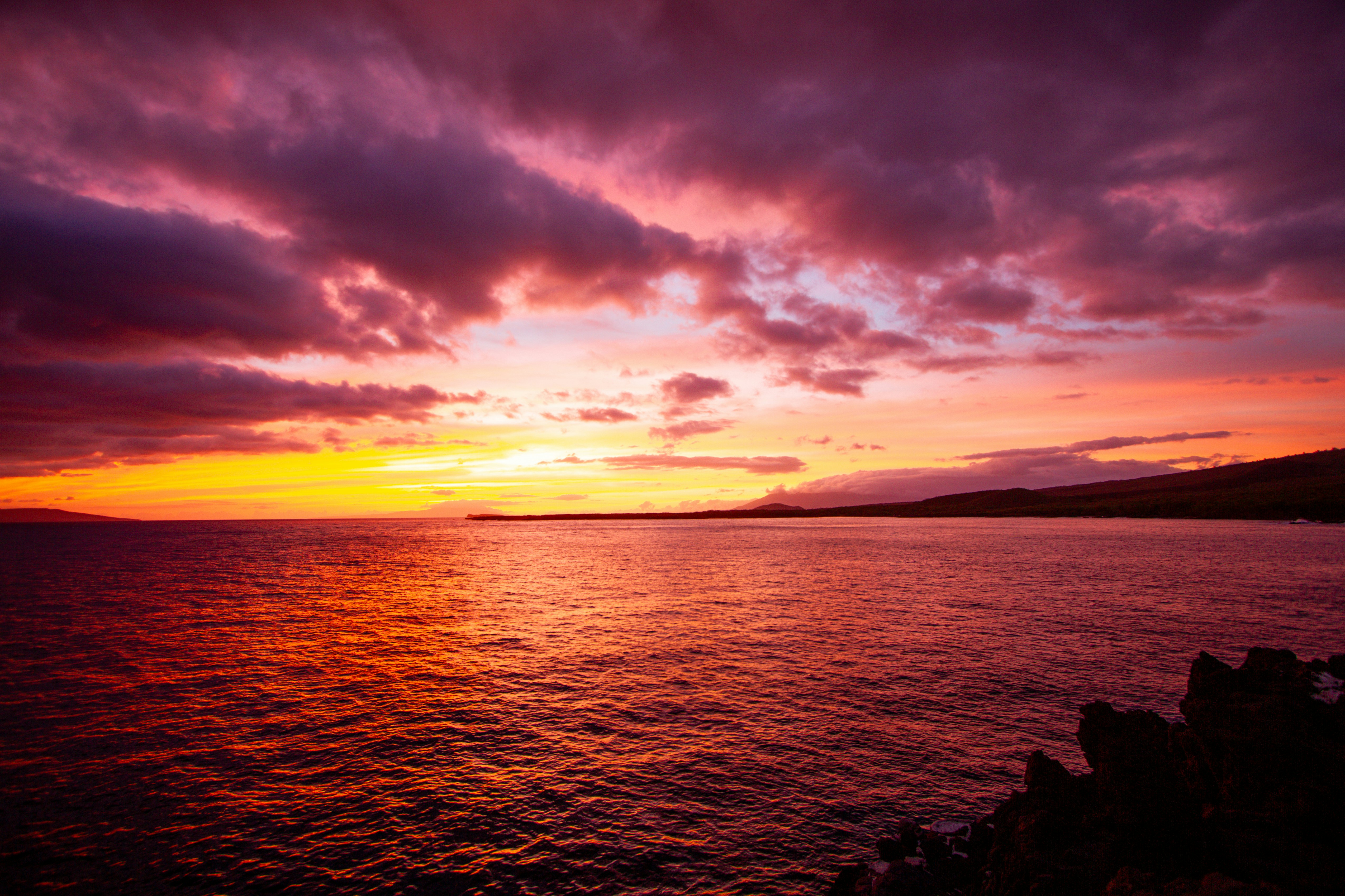 Photo by shanehawaii