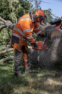 A lumberjack cuts a tree with a chainsaw.