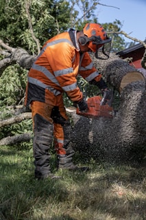 A lumberjack cuts a tree with a chainsaw.