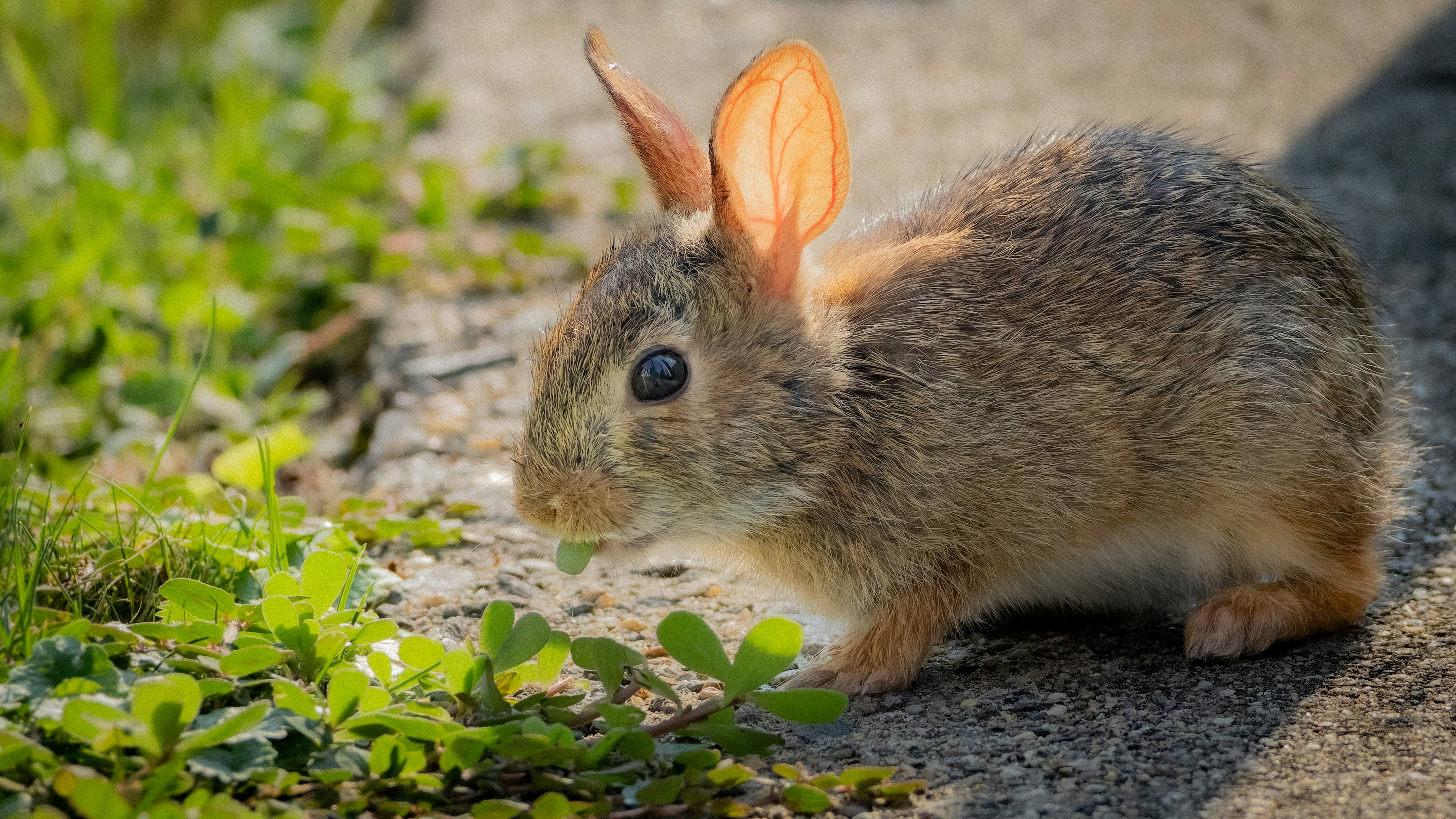 Photo by peterbbryan