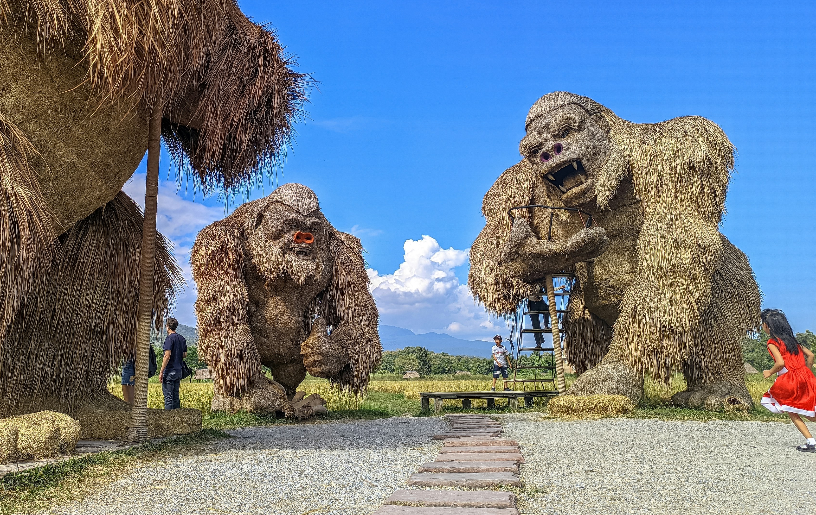 Straw sculptures of gorillas stand on a sunny day.