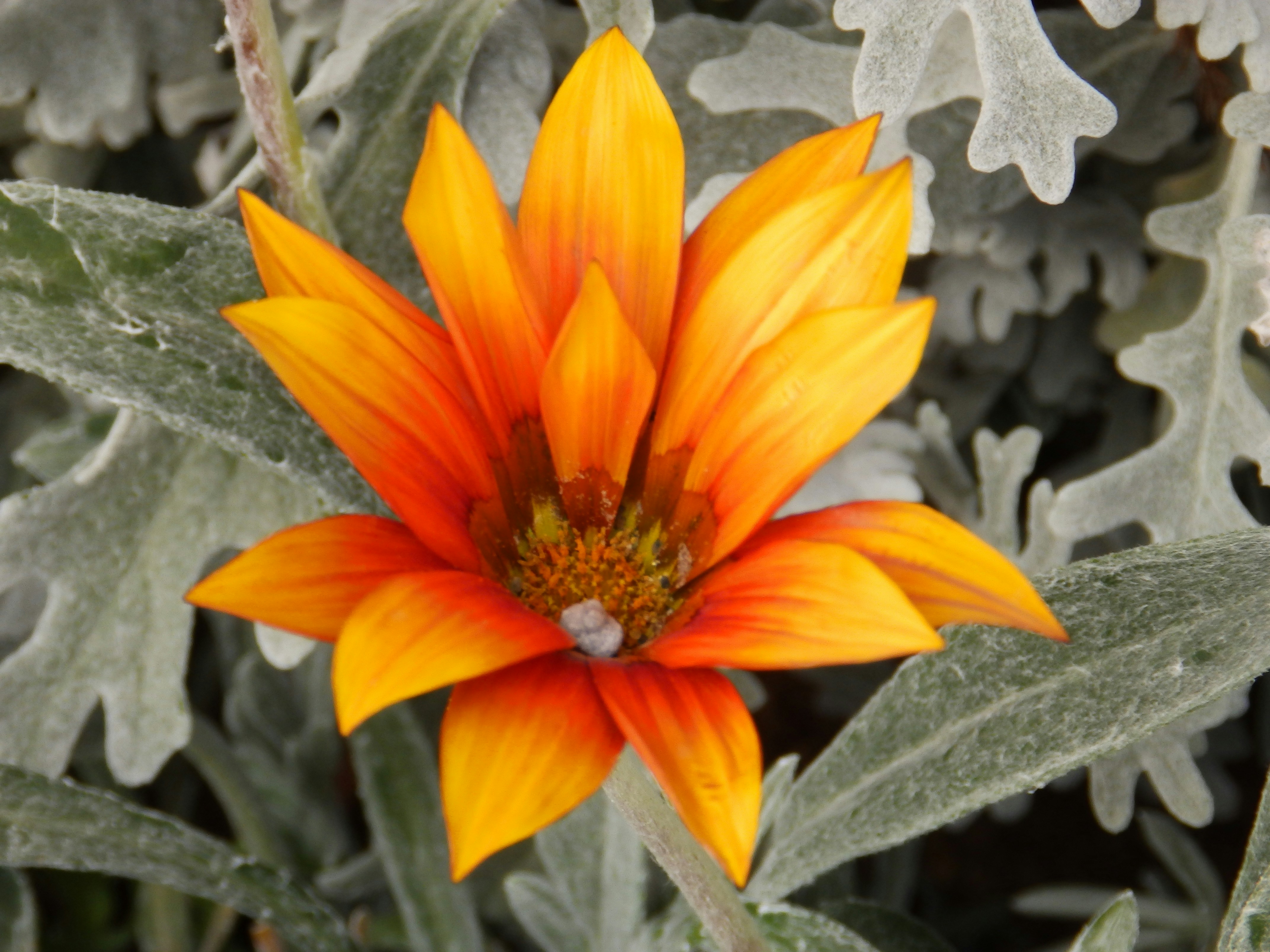 Photo by tamaki_chan