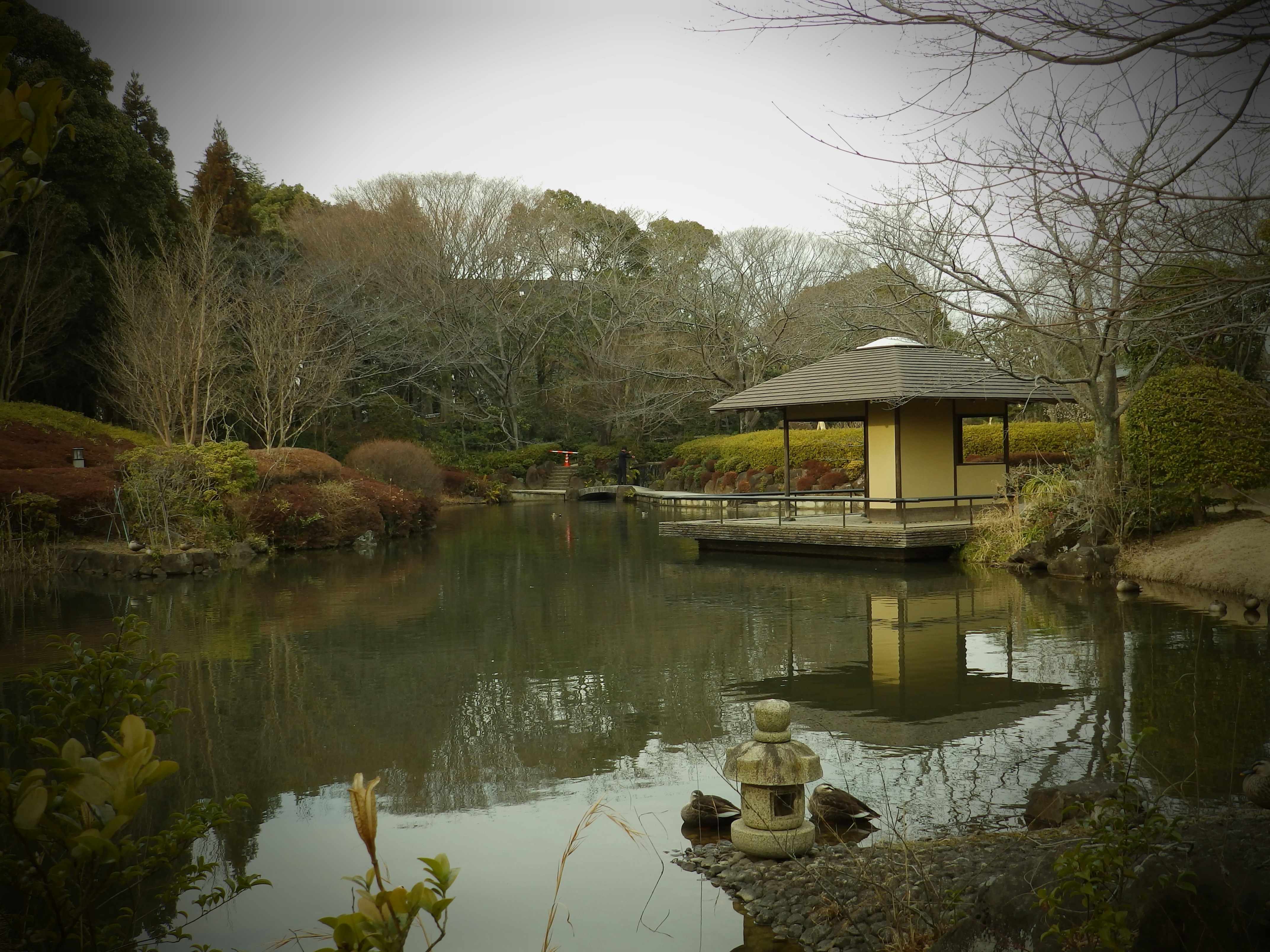 Photo by tamaki_chan