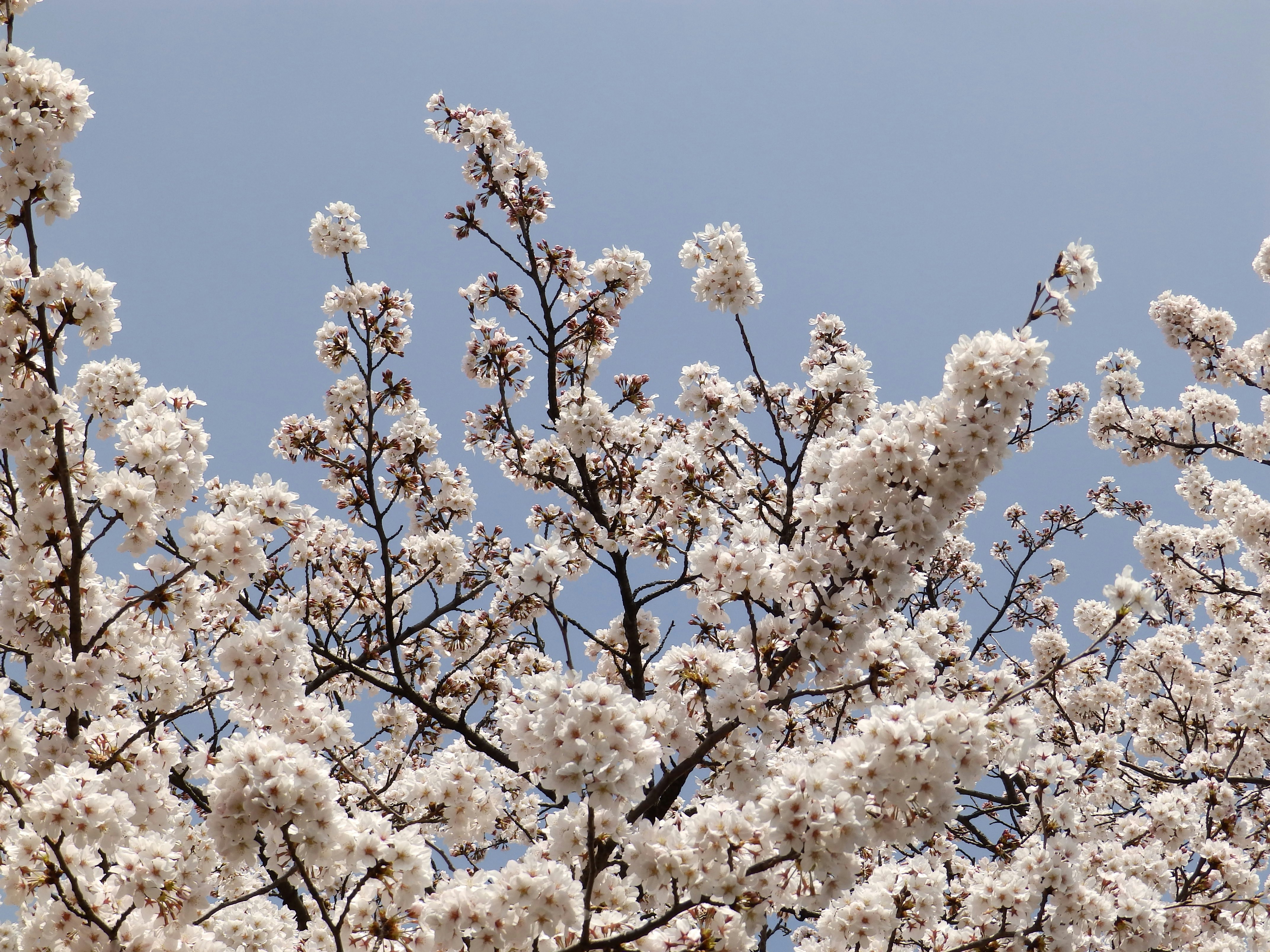 Photo by tamaki_chan