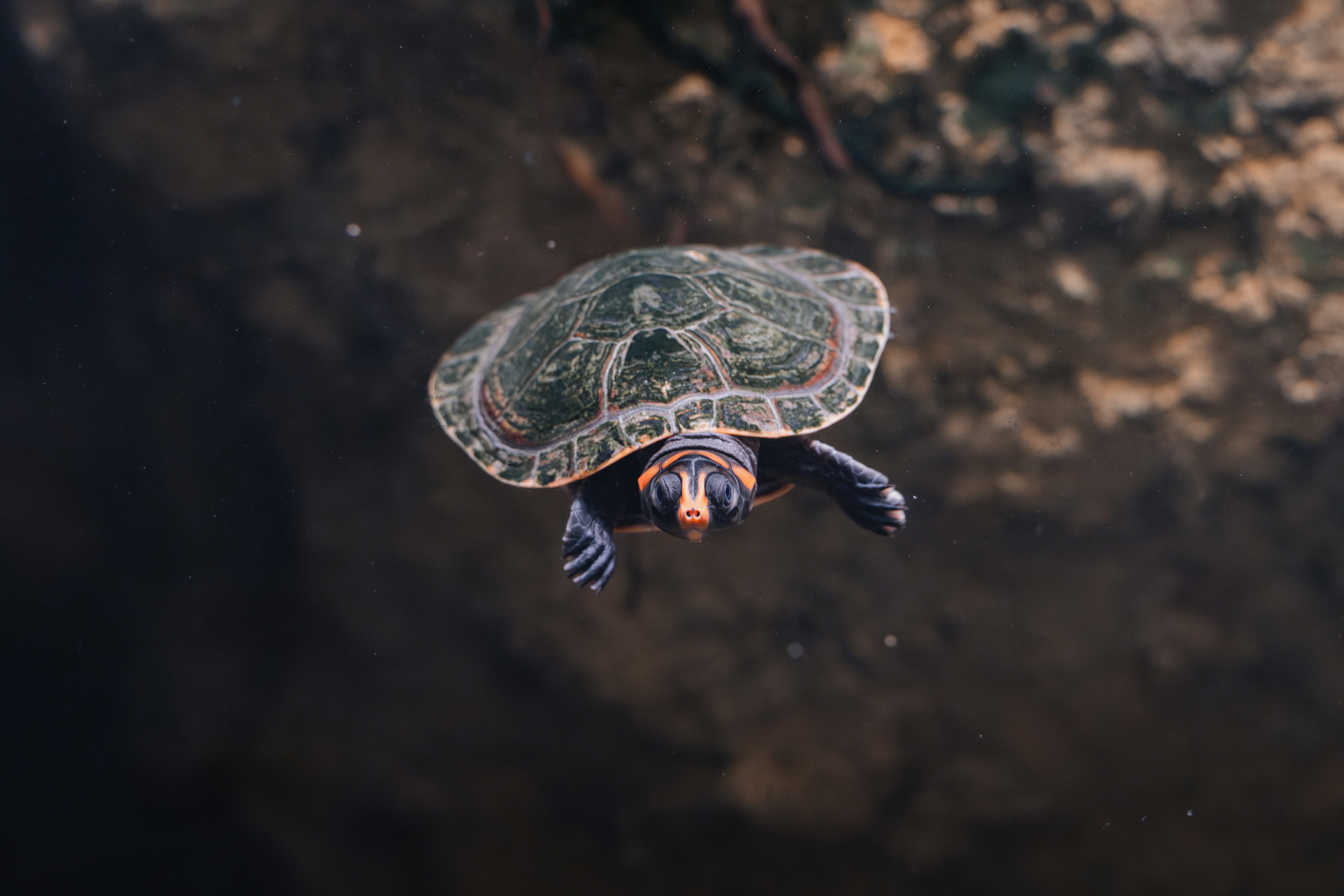 Photo by ahmetyuksek