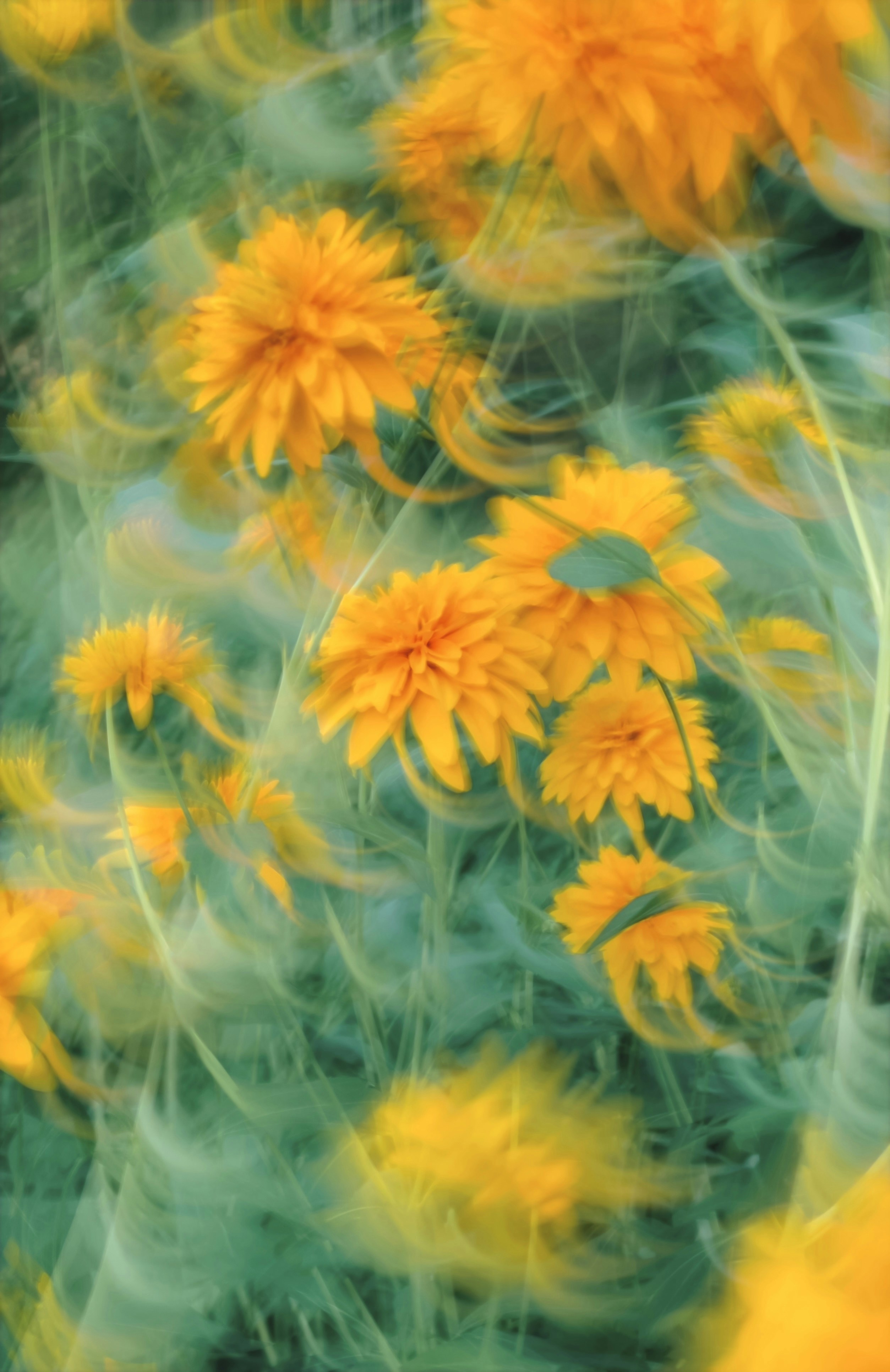 Photo by eugene_golovesov