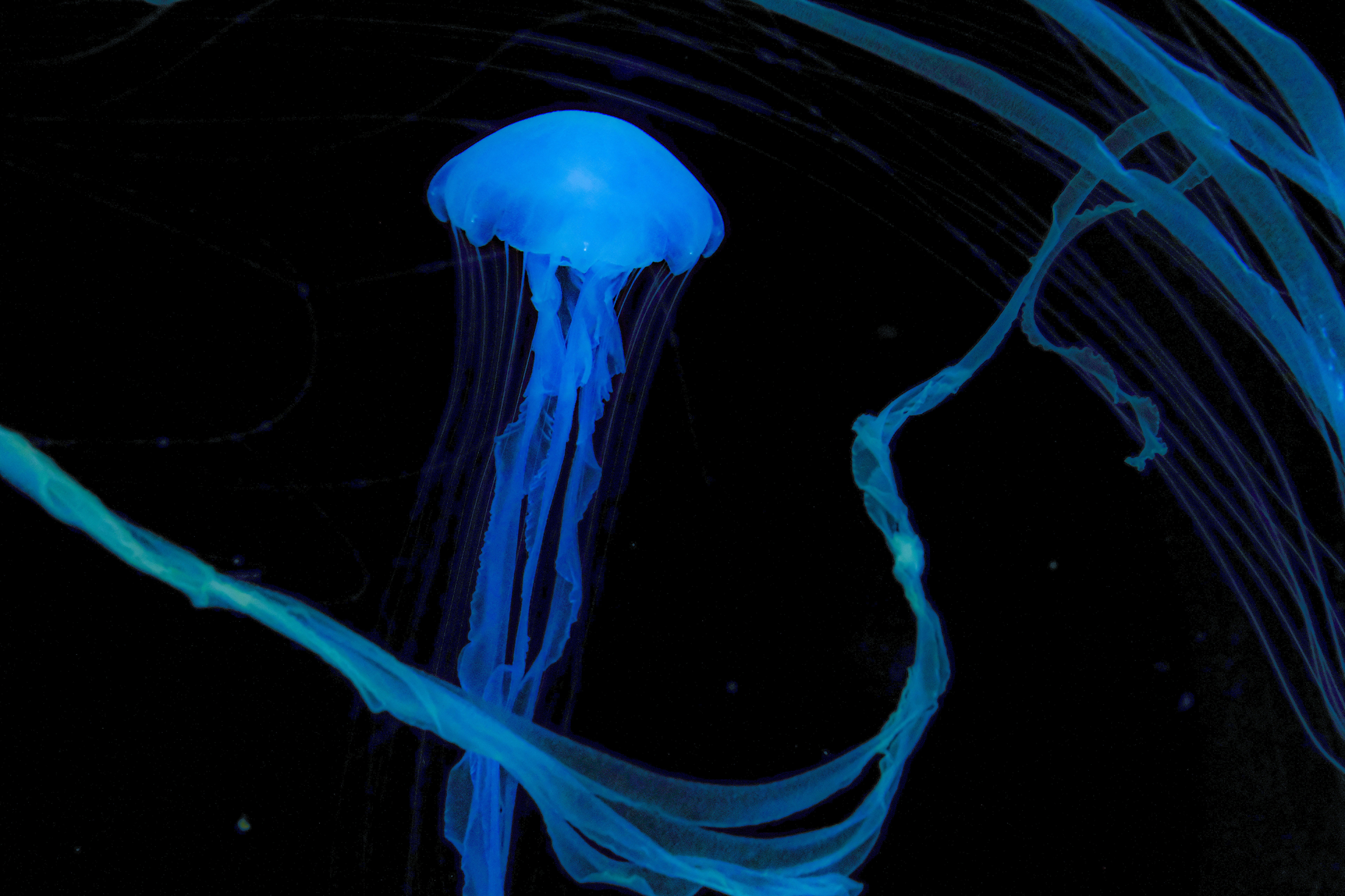 Photo by picturemeslut