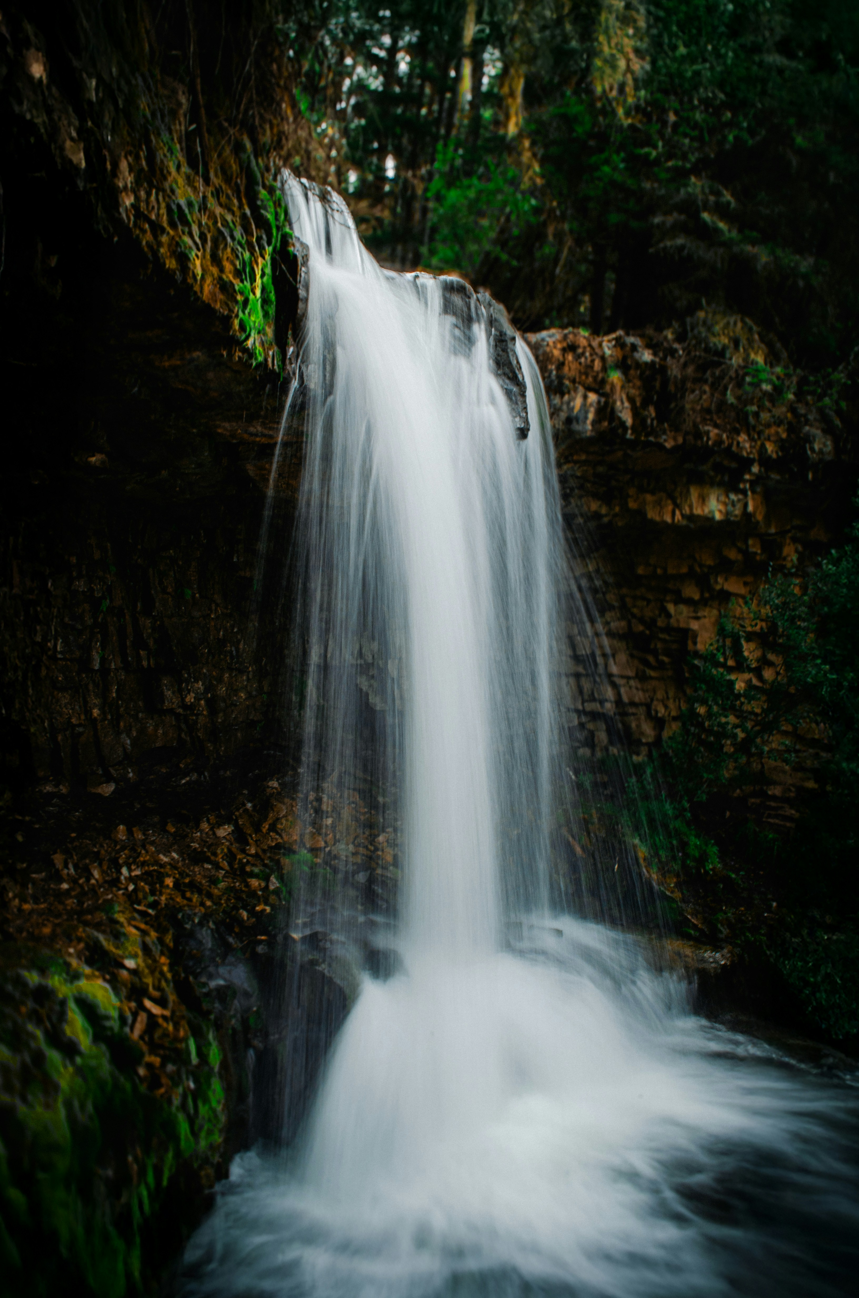 Photo by dmytro_yarish