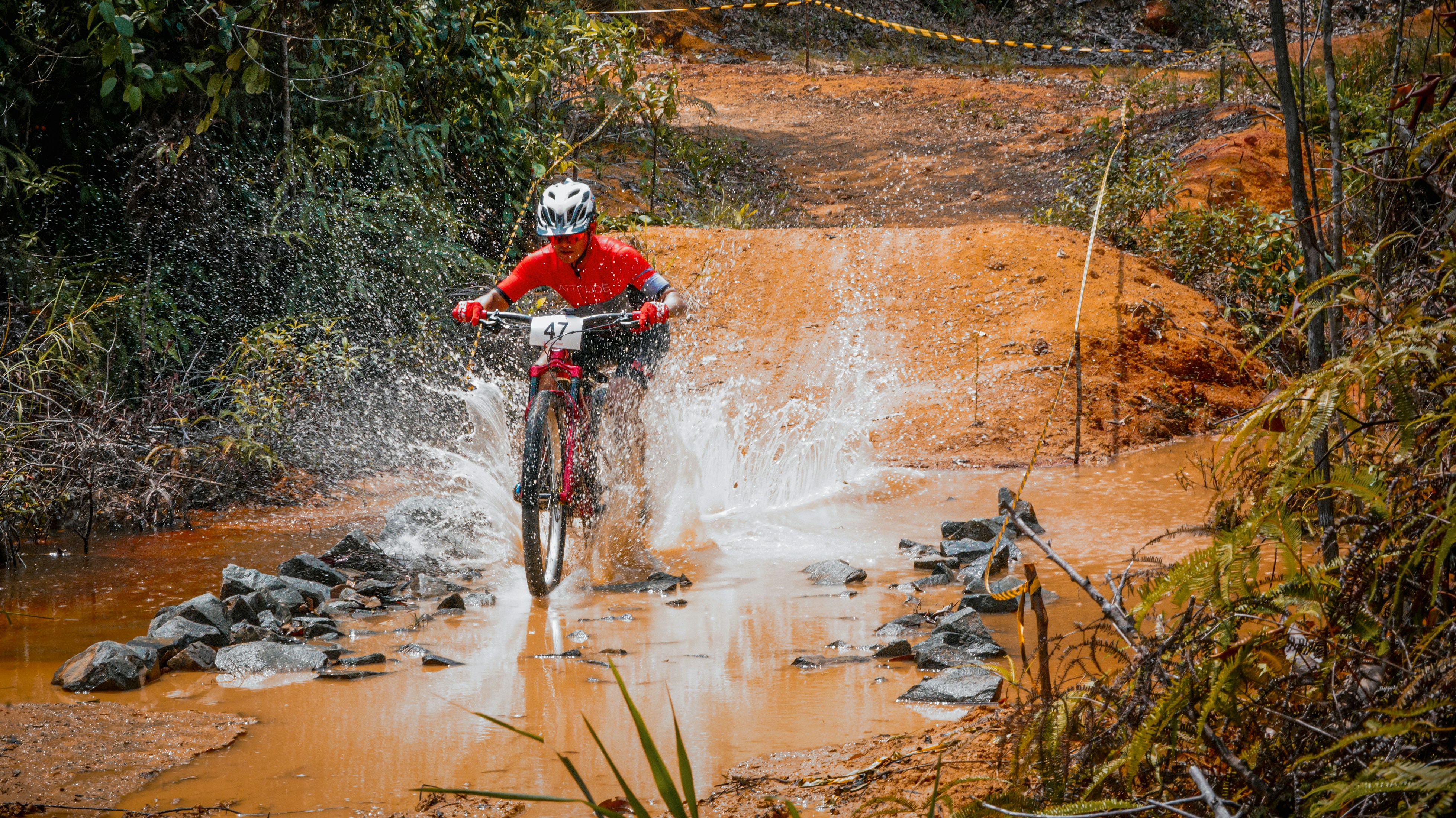 Photo by sunilcsharma