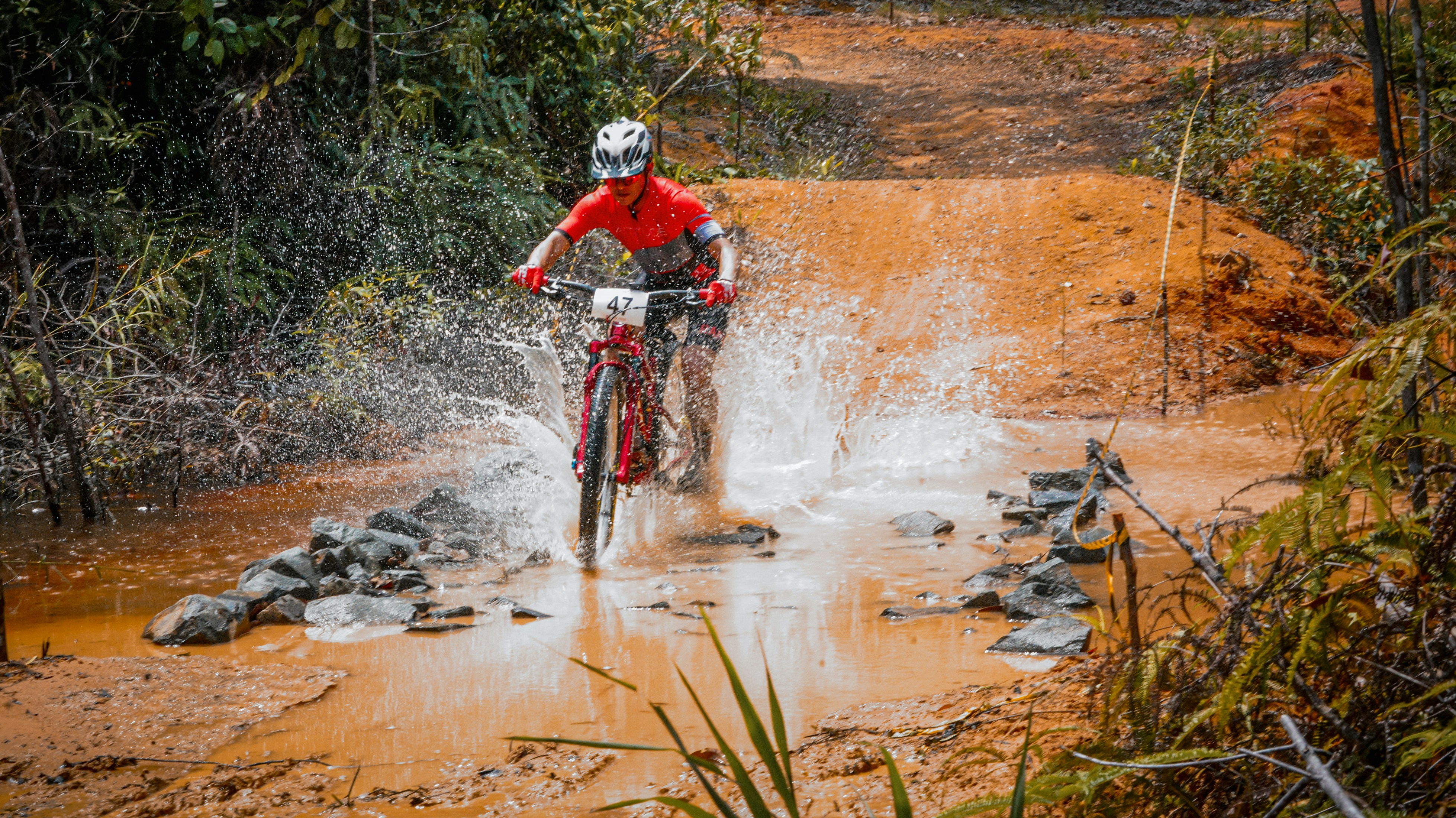 Photo by sunilcsharma