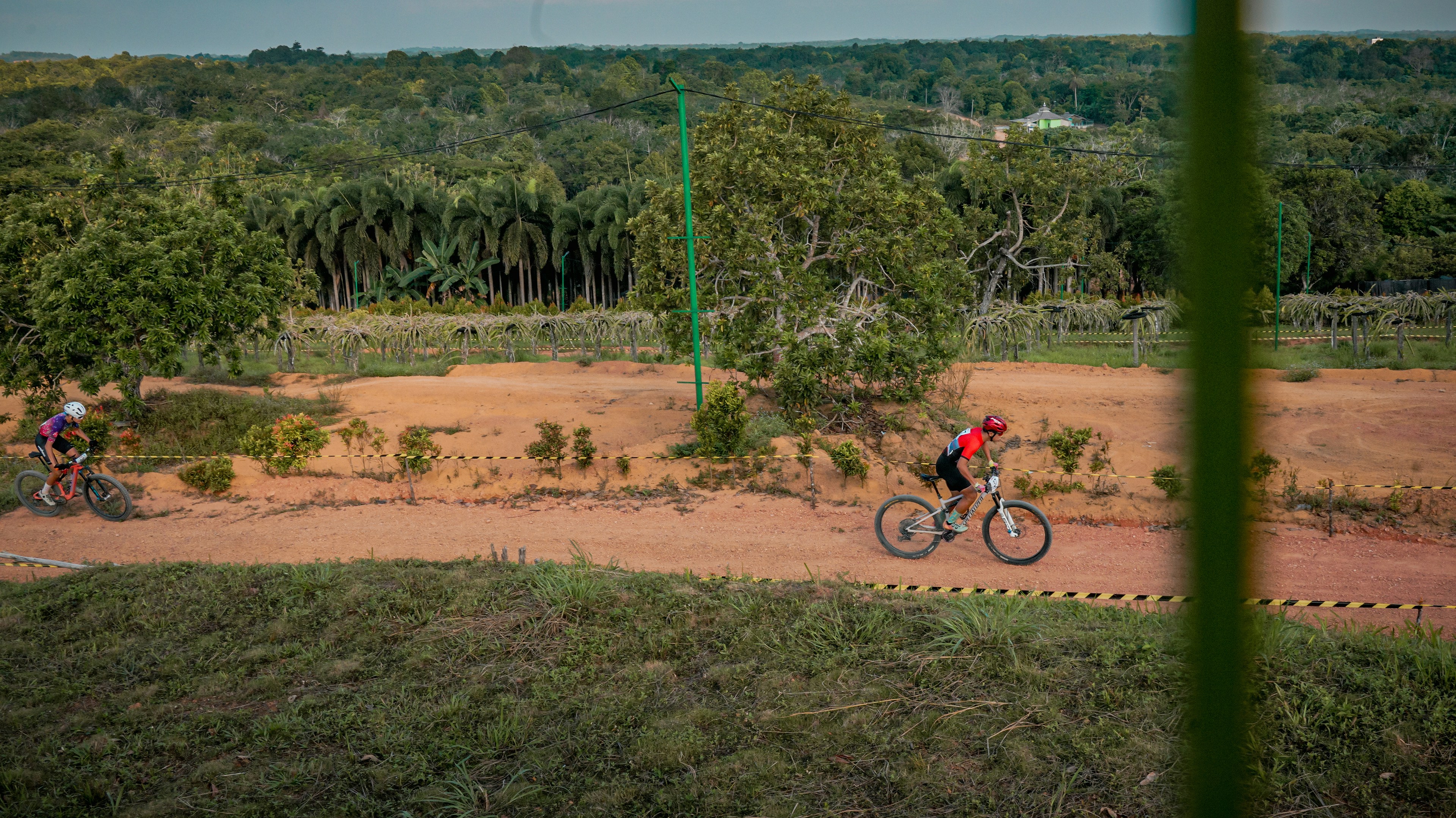 Cyclists ride along a dirt path through the trees.
