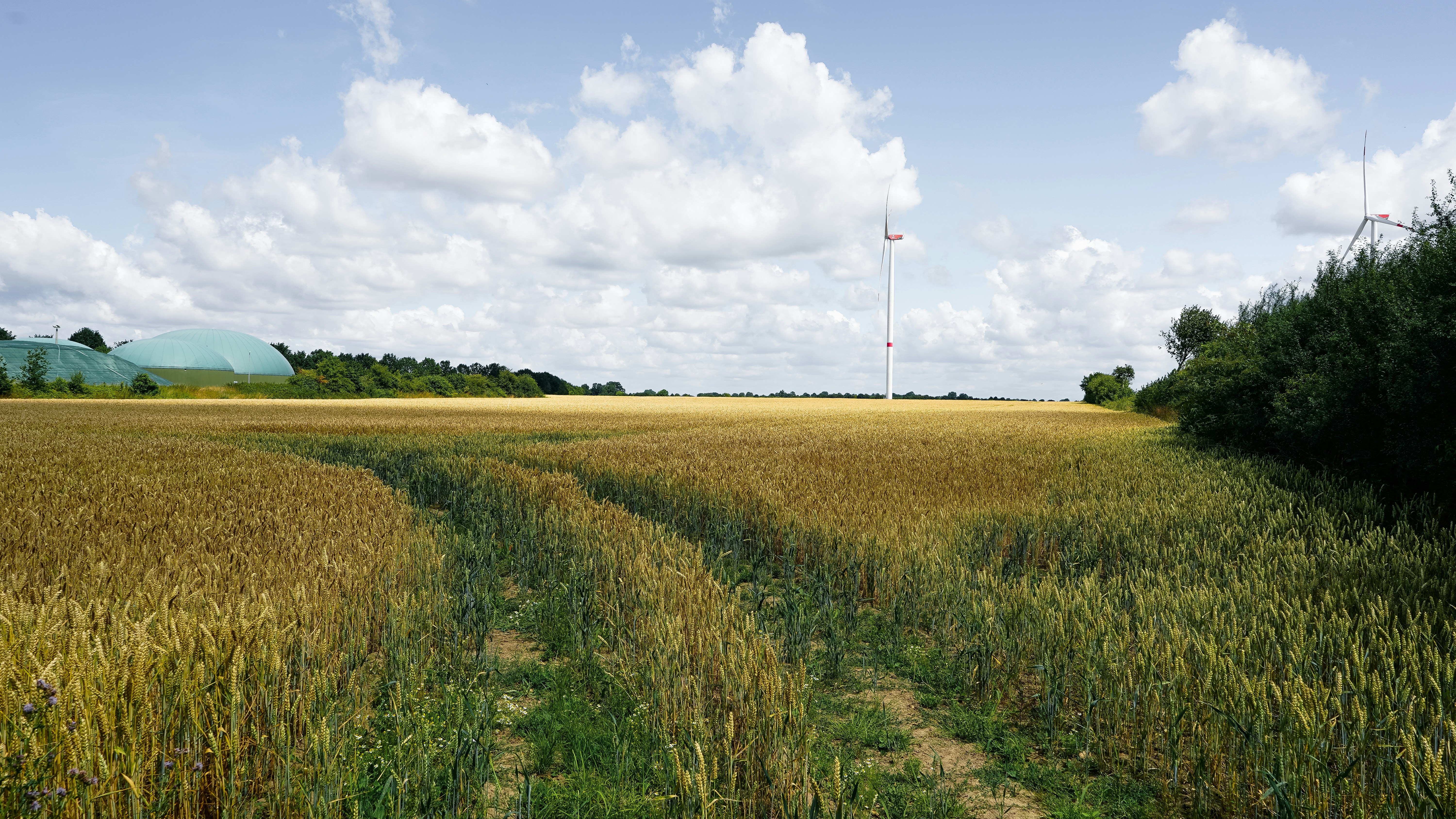 Photo by hamburgmeinefreundin