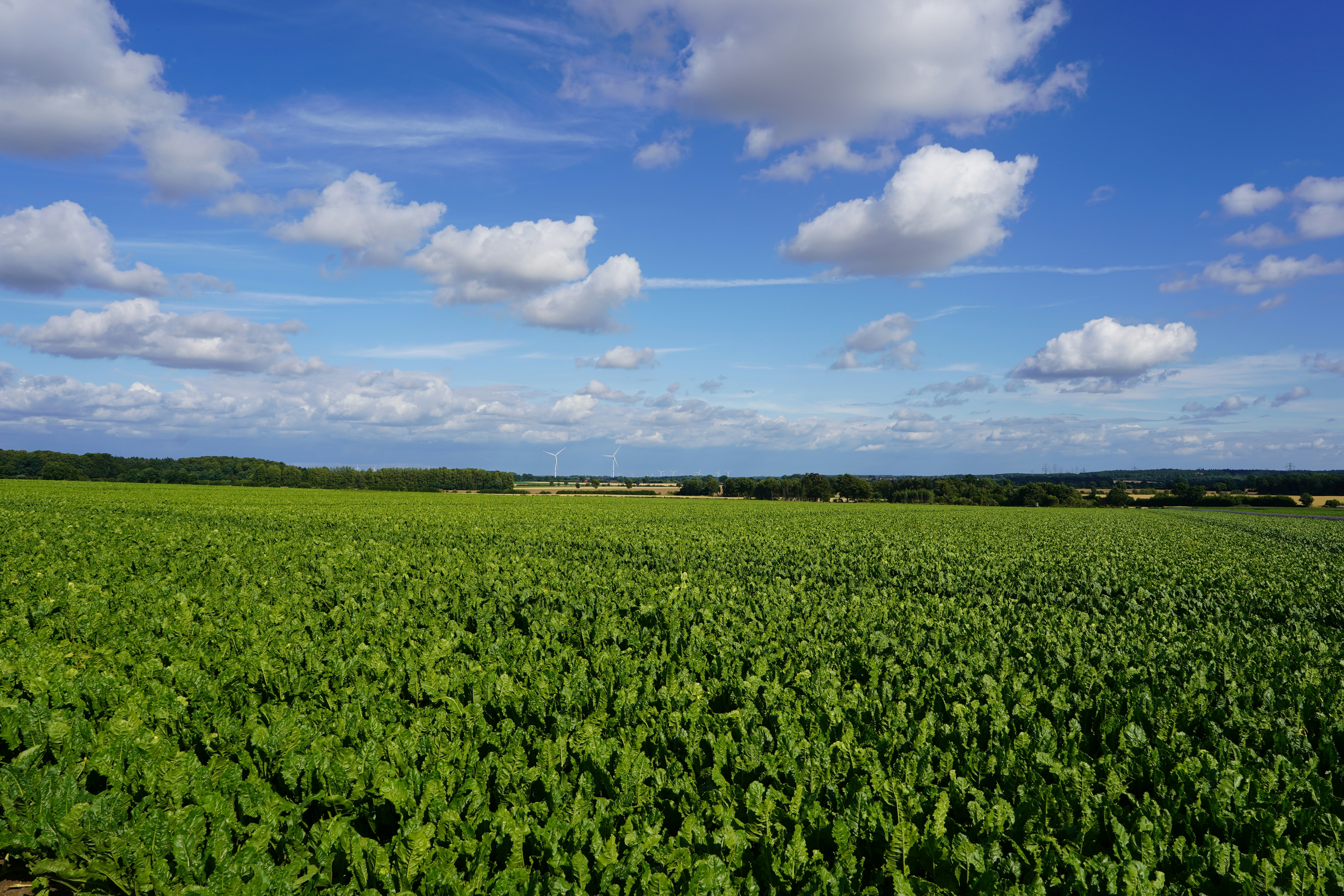 Photo by hamburgmeinefreundin