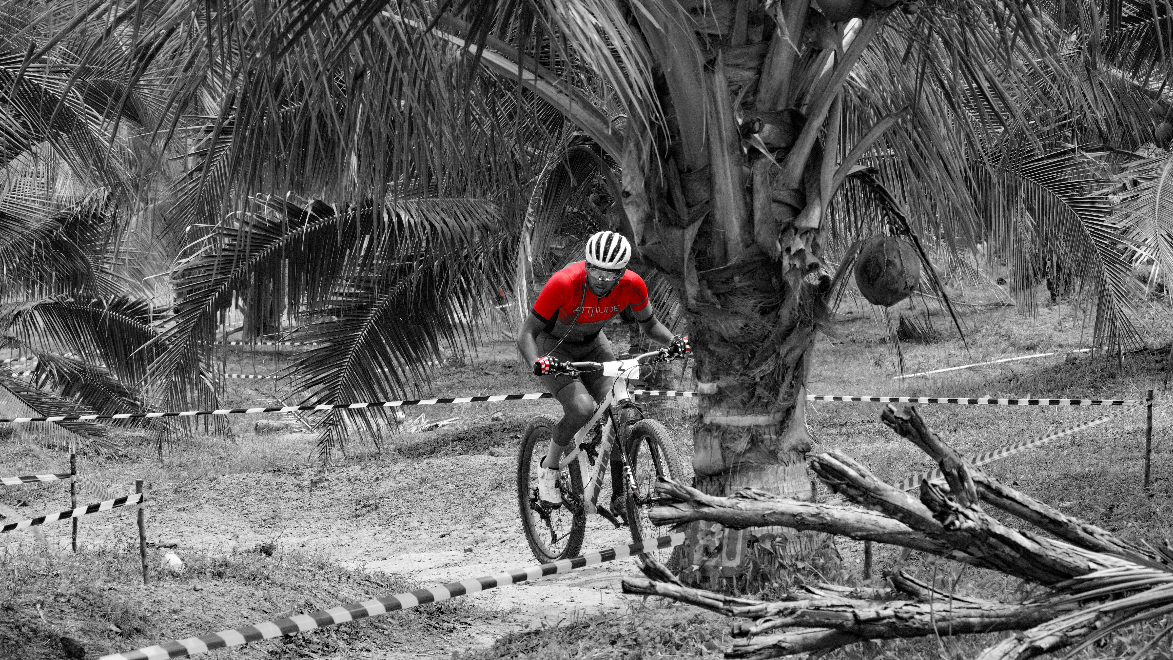 A cyclist races through a black and white forest.
