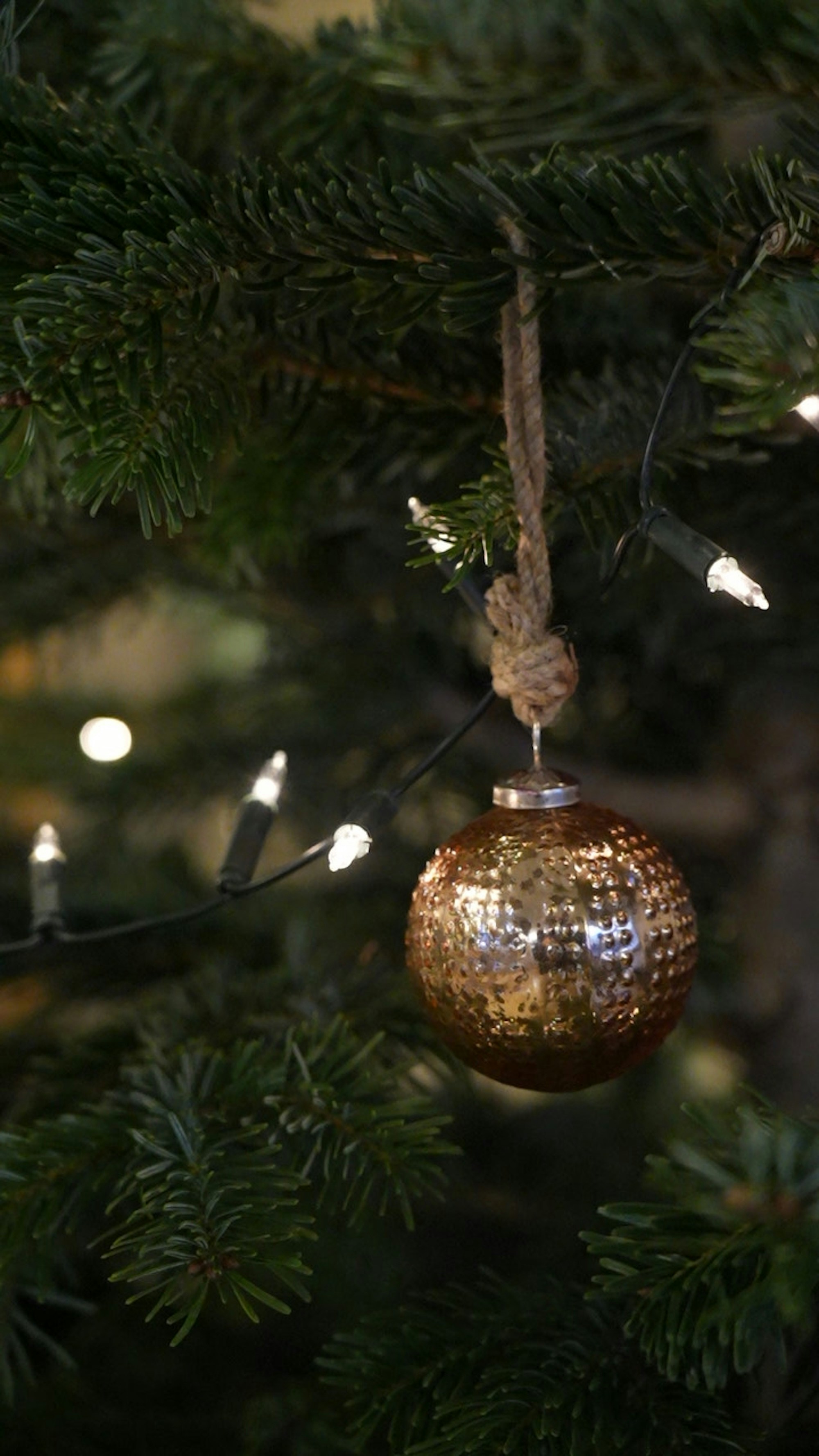 Christmas ornament on a decorated tree.