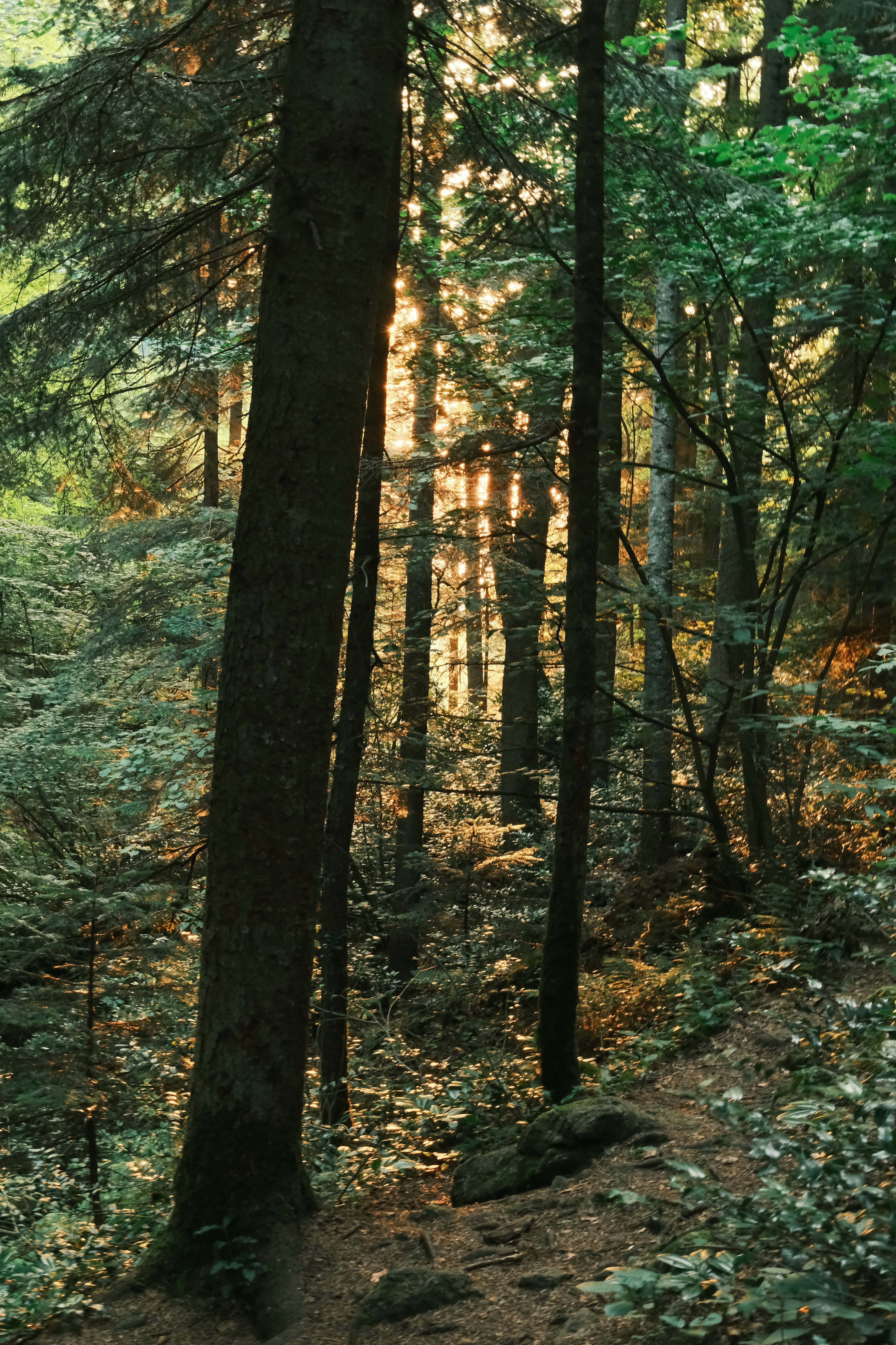 Photo by nikan_tanya