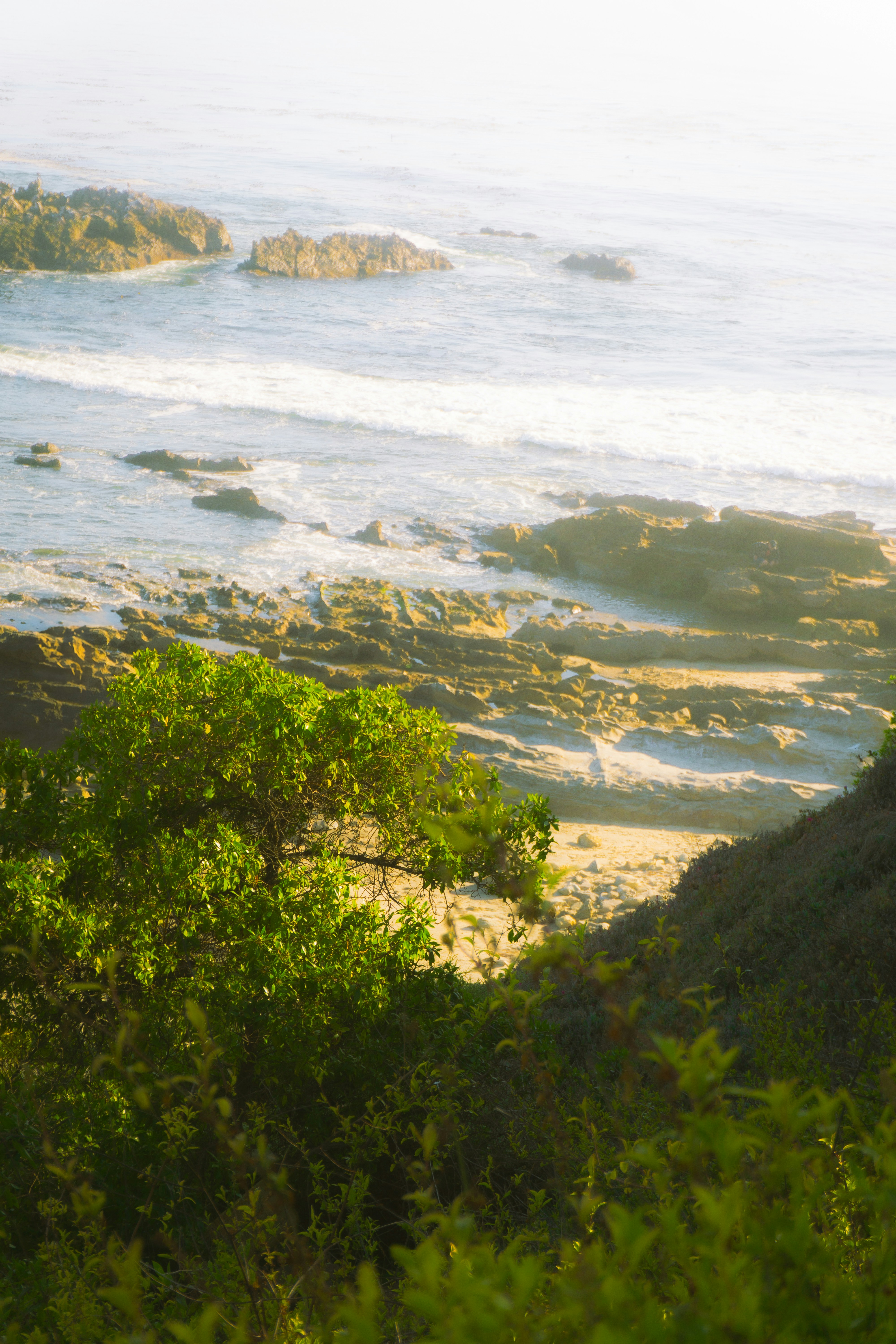 Photo by zakosarchives