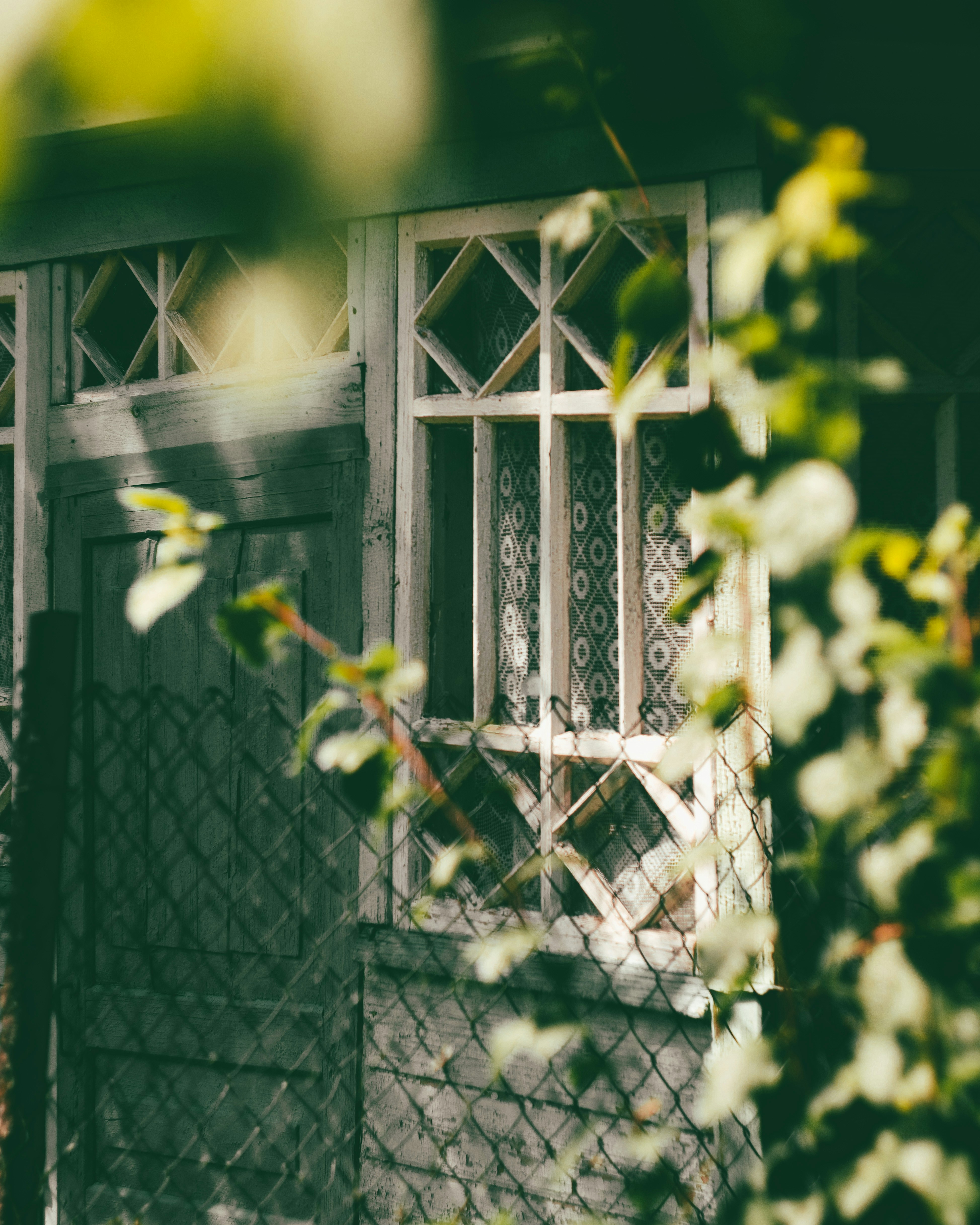 Photo by renzu_melody