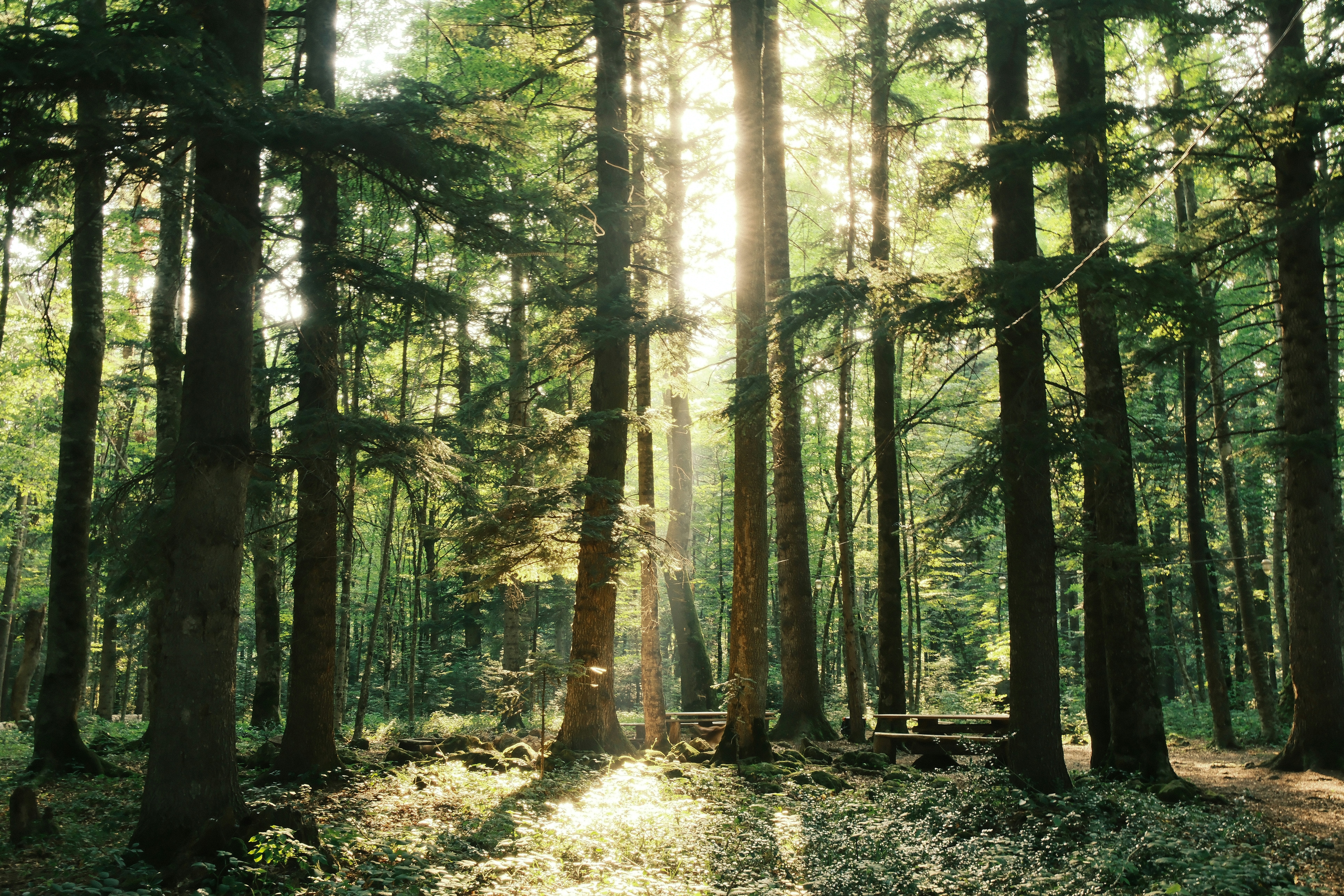 Photo by nikan_tanya