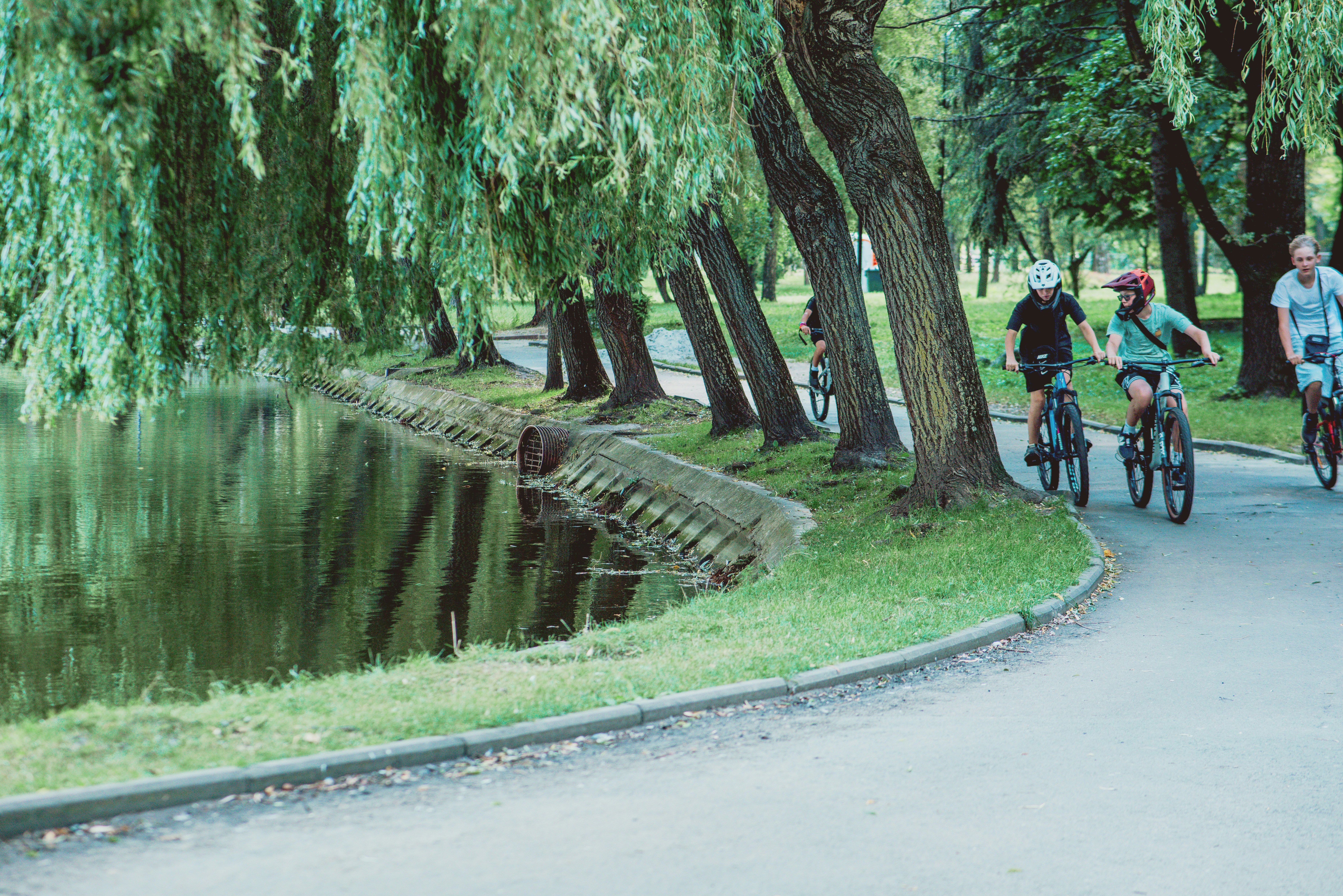 People are riding bikes by a lake in a park.
