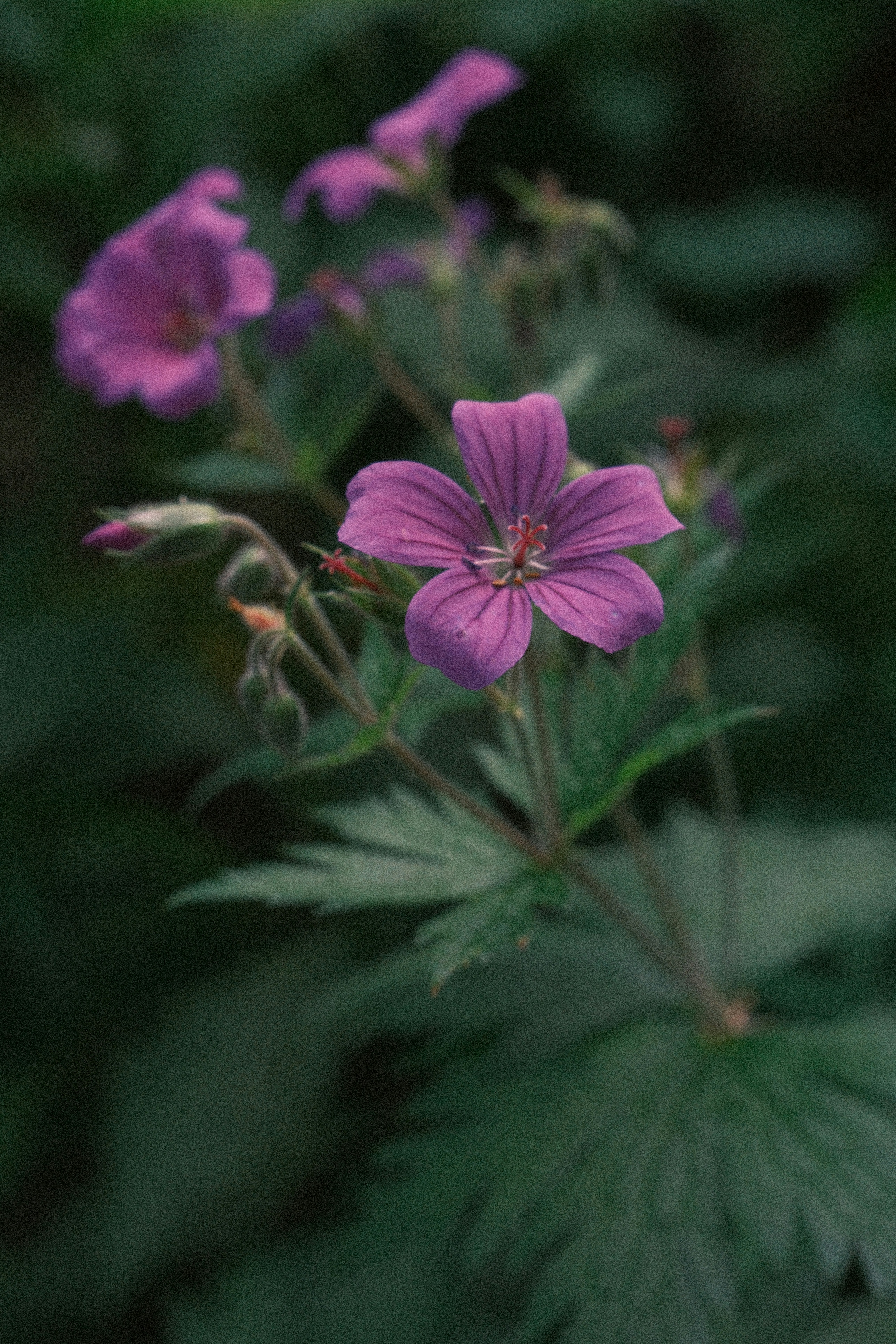 Photo by nikan_tanya
