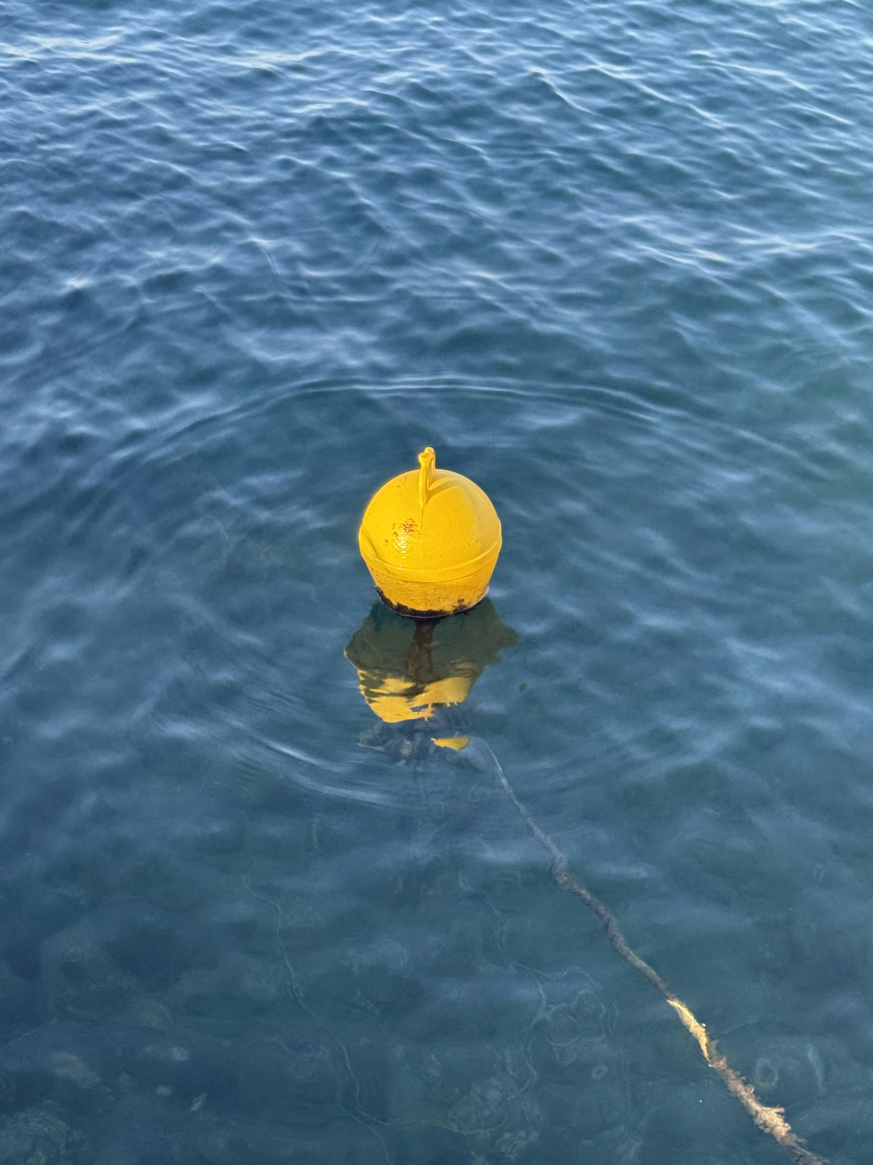 A yellow buoy floats in clear blue water.