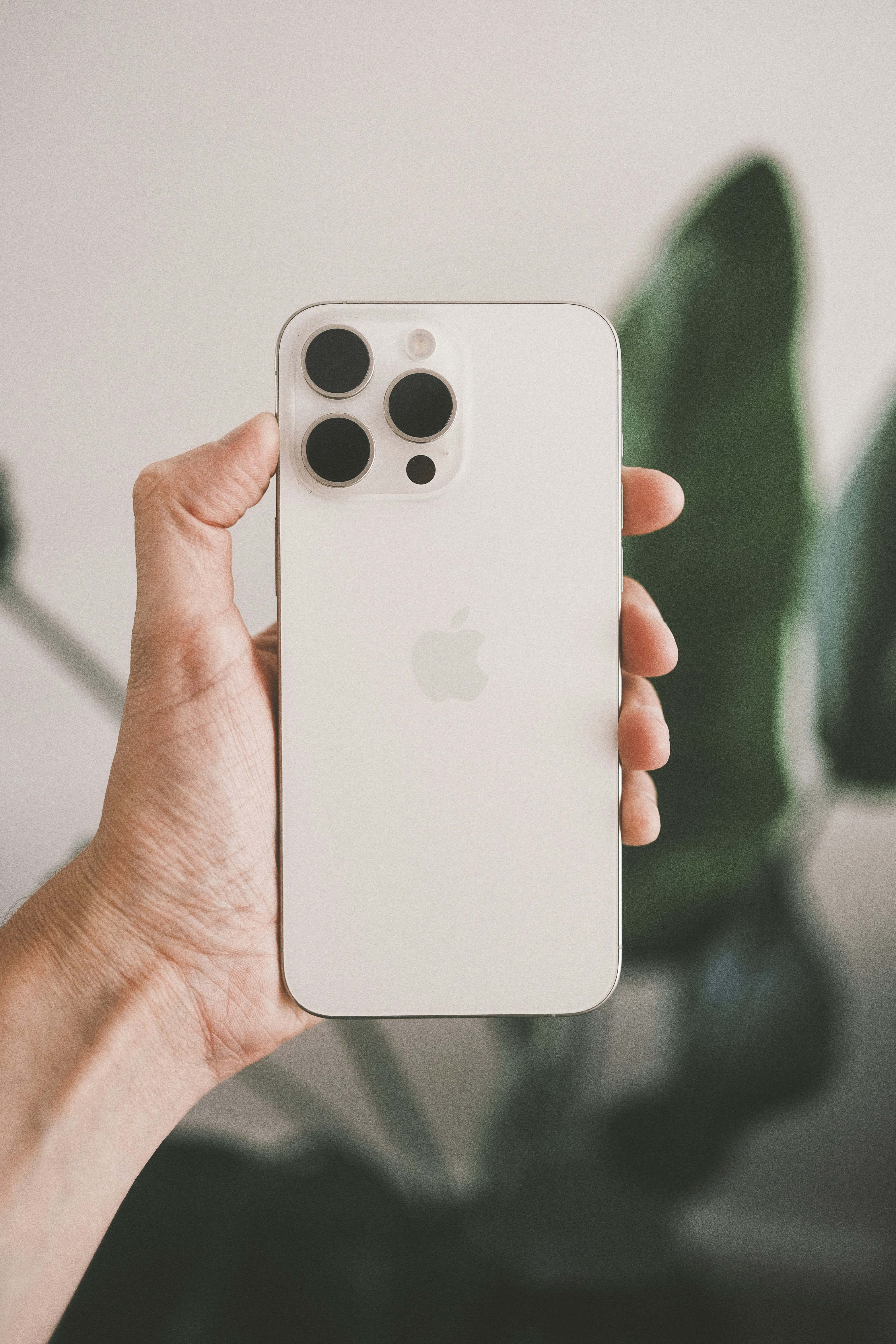 Photo by visualsbying