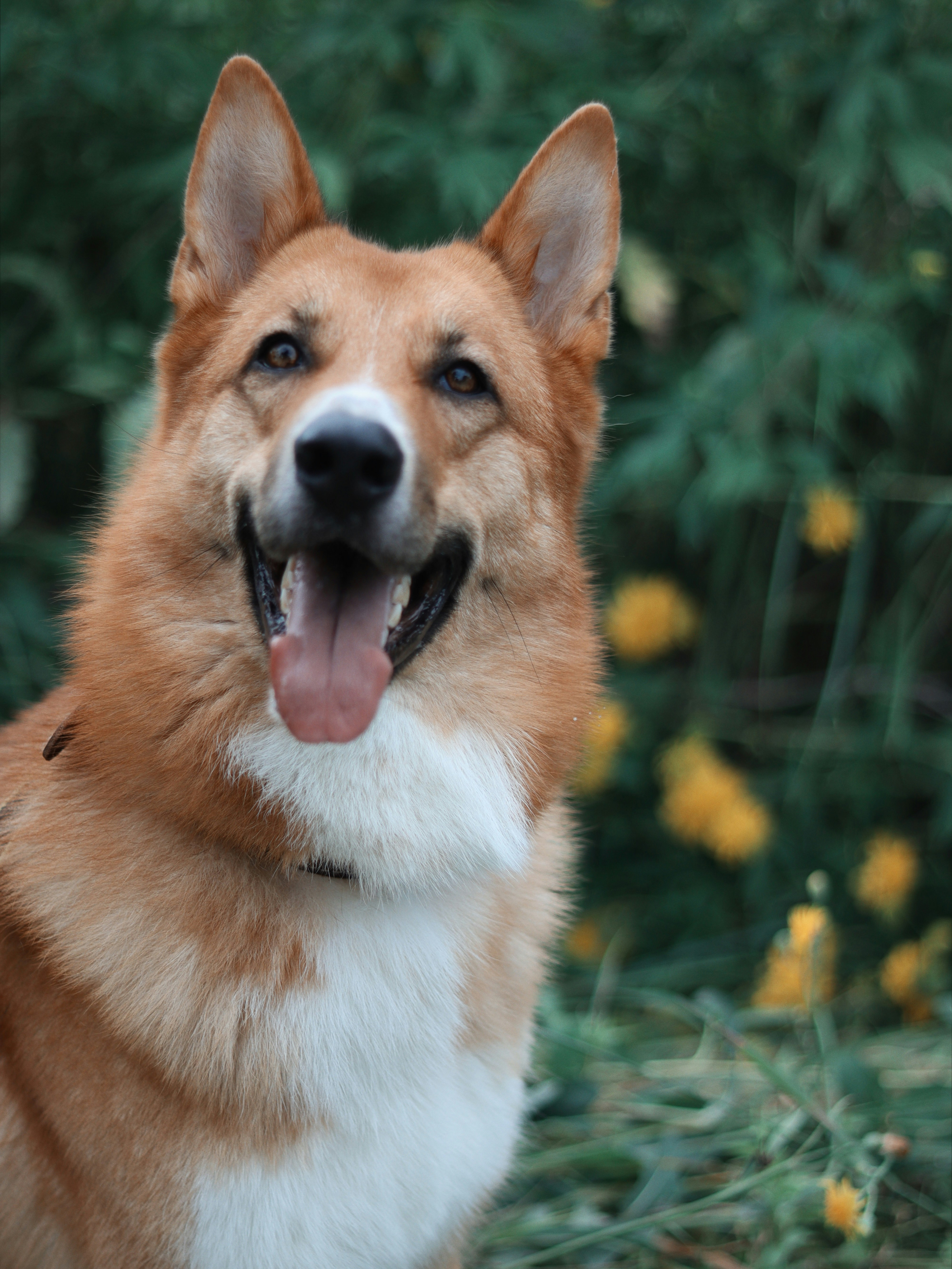 Photo by anotherxlife