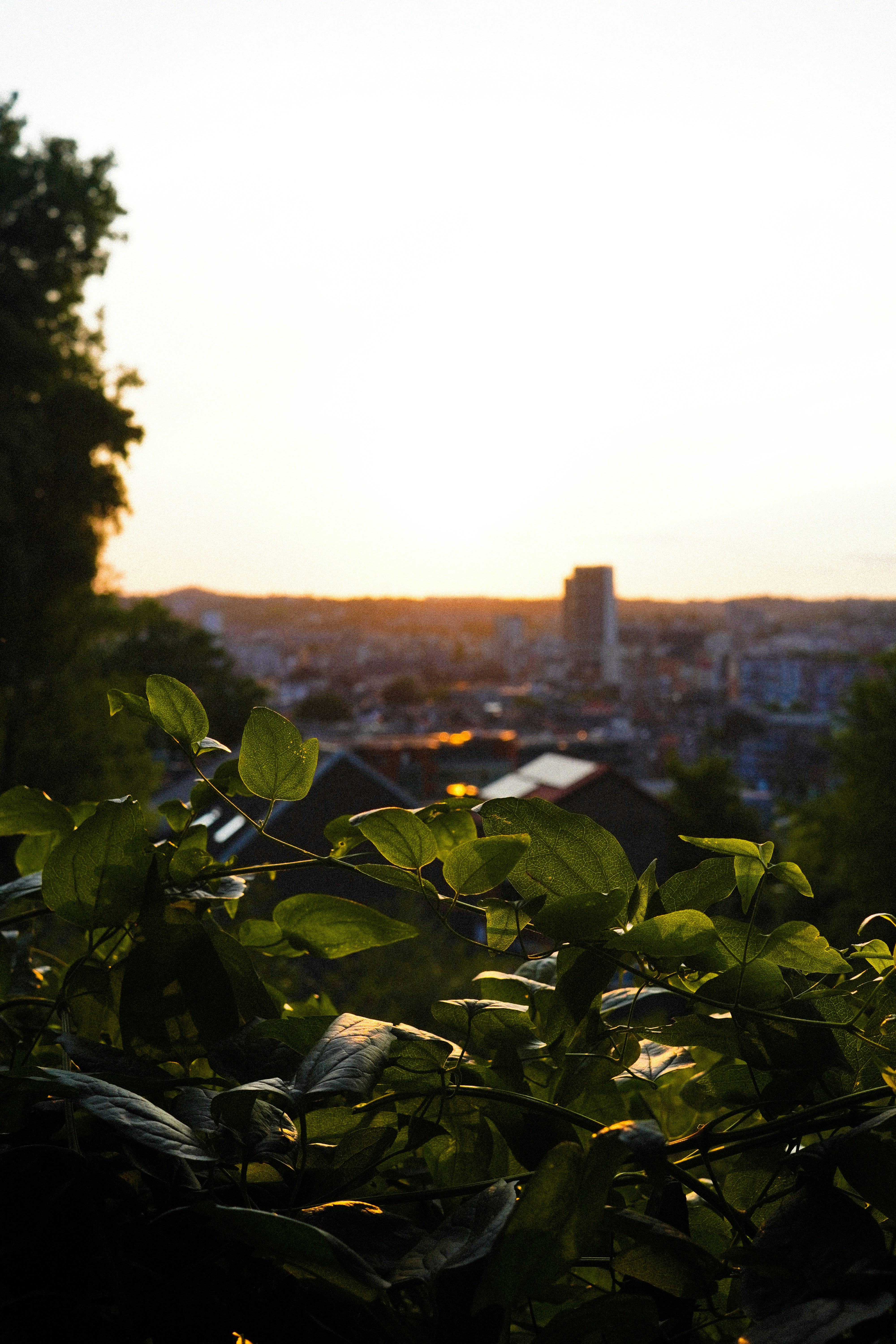 Photo by lau_cocovrard