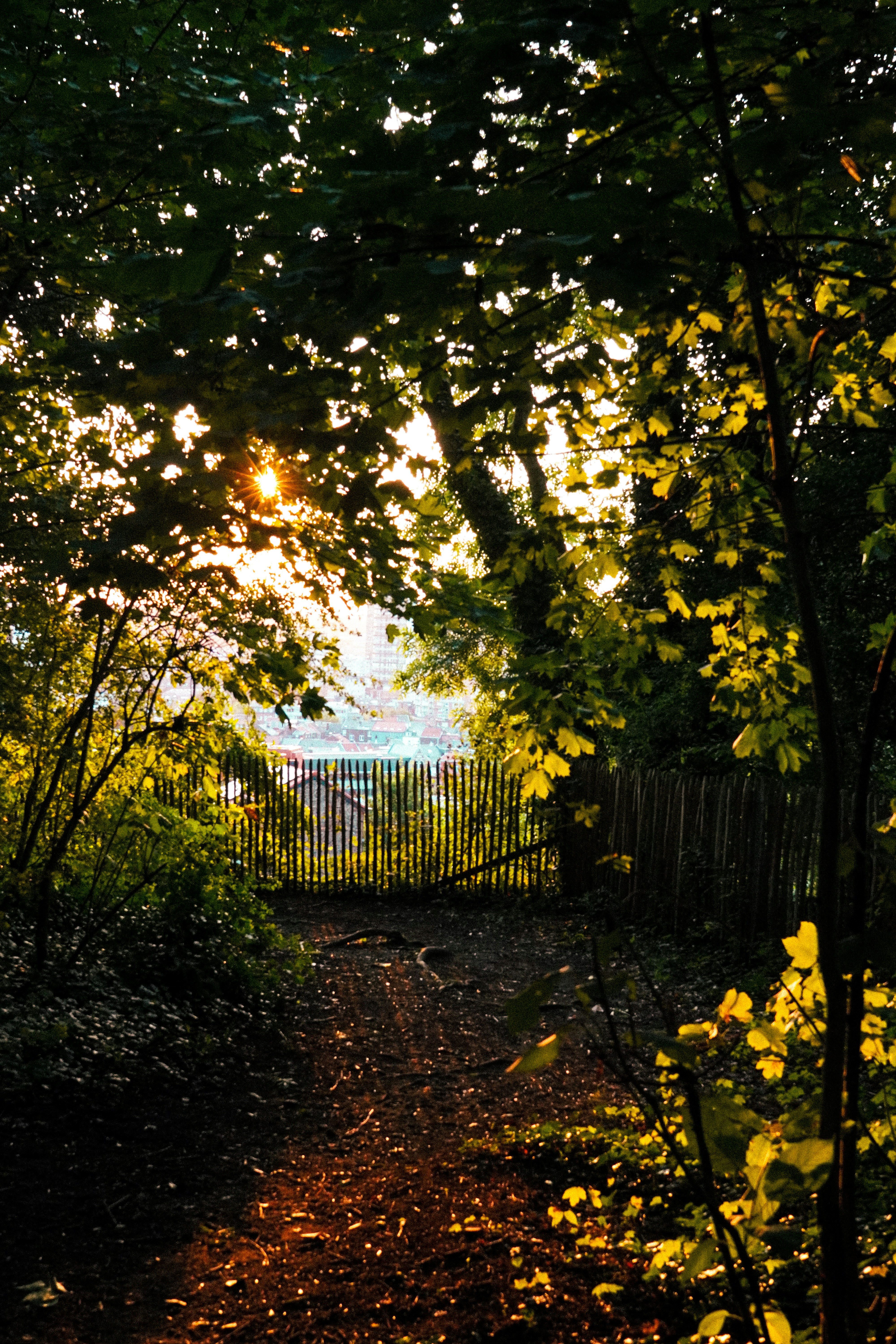 Photo by lau_cocovrard