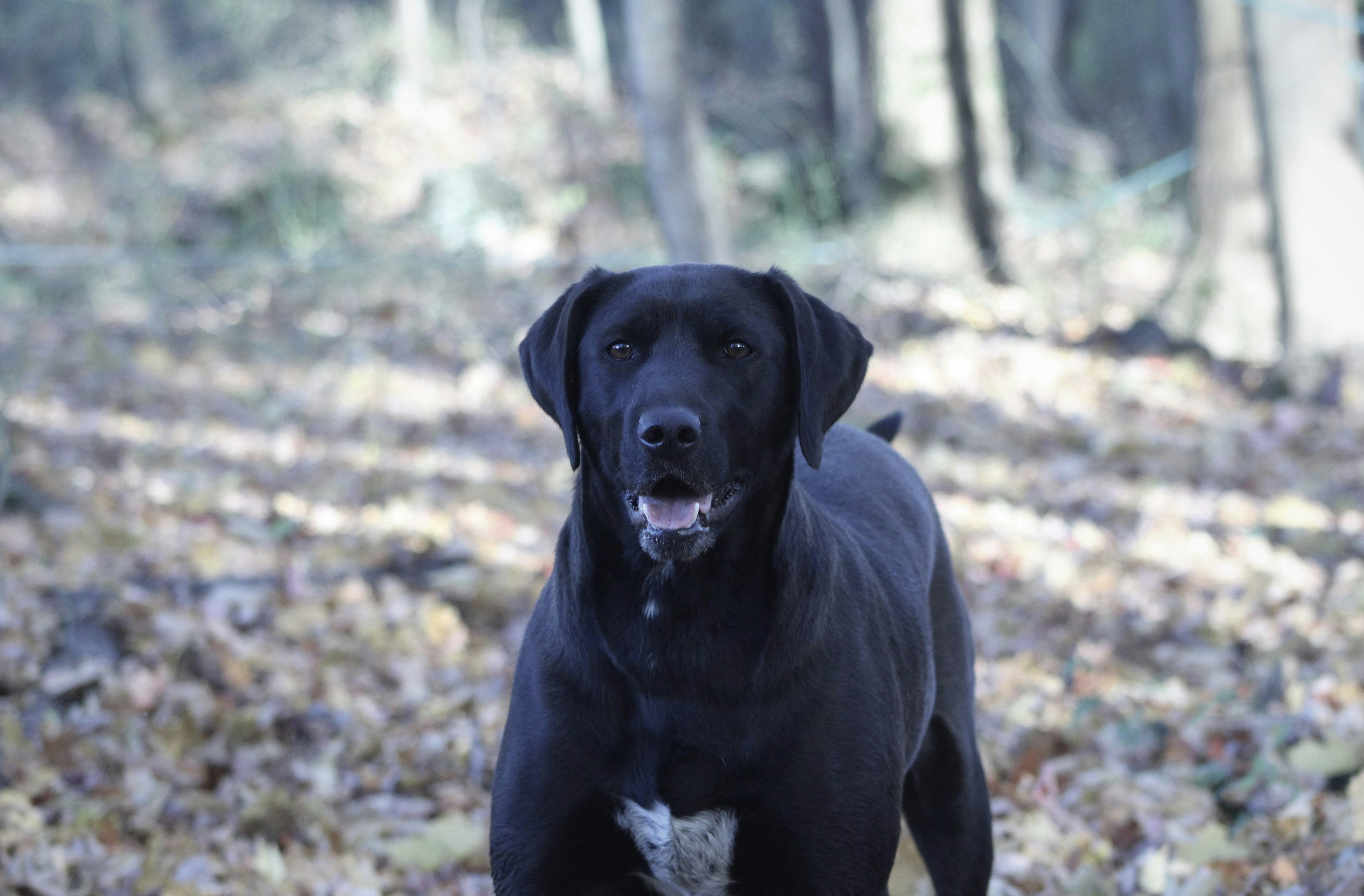 Photo by alisagingerich