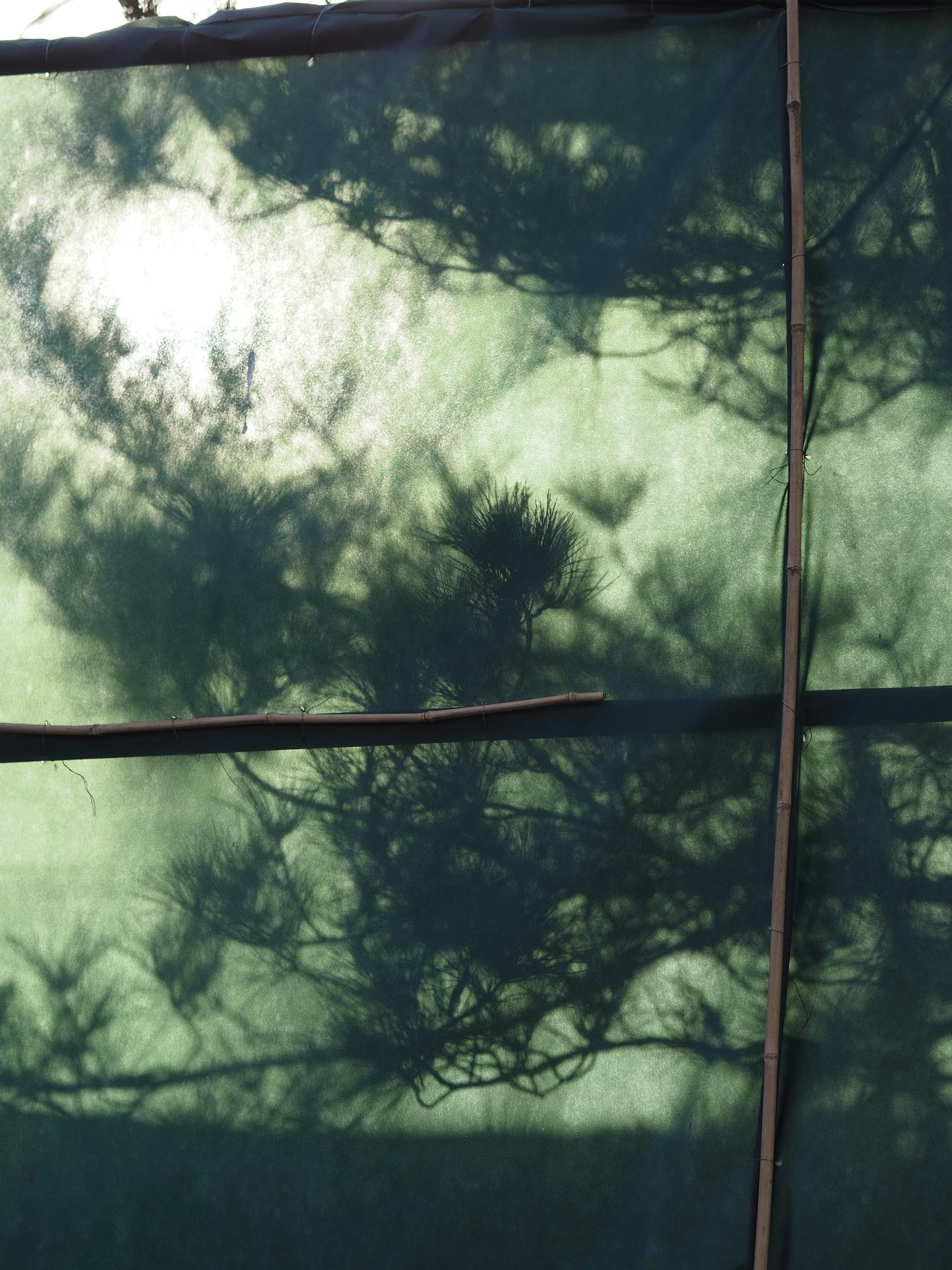 Photo by mianmian1997