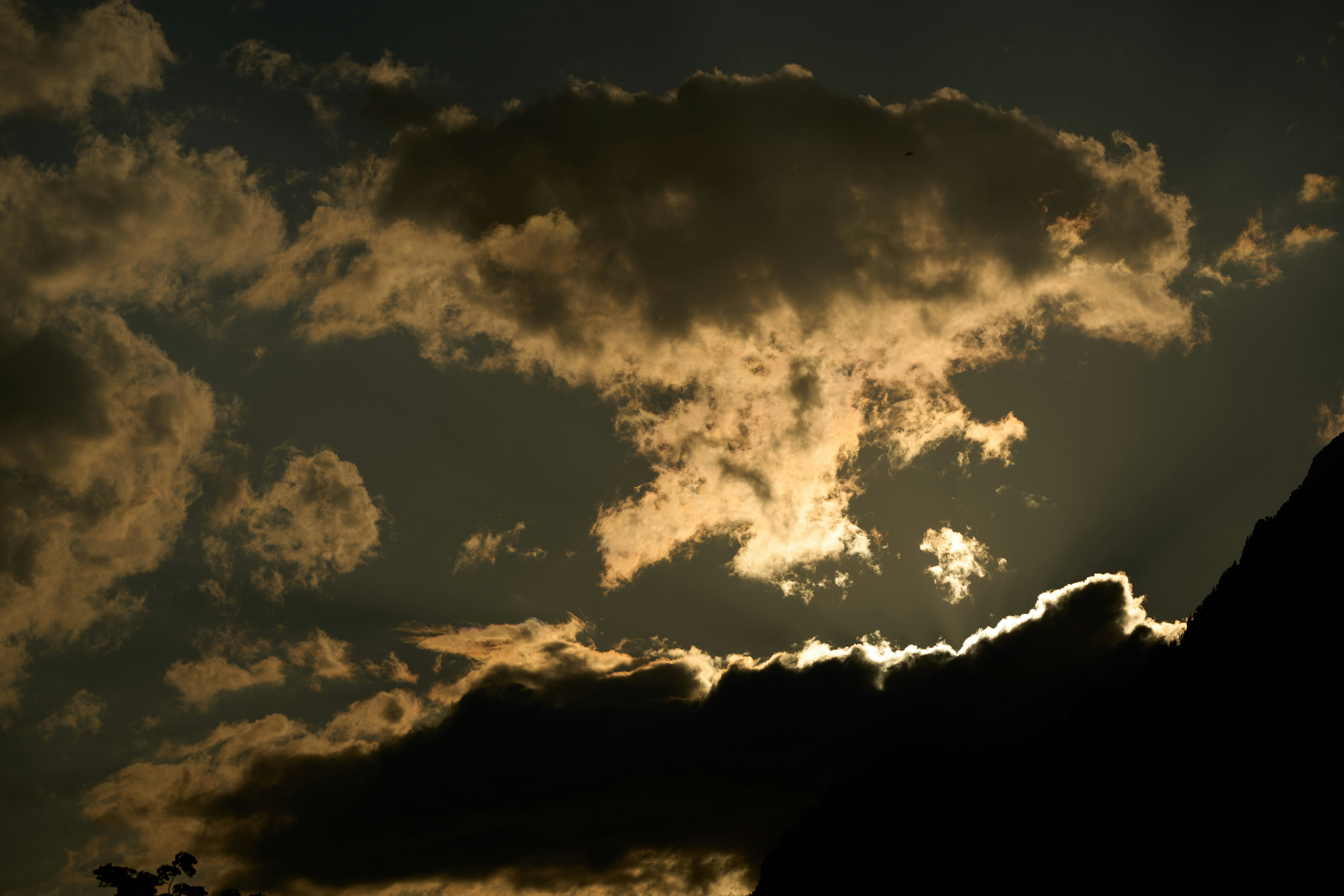 Photo by wolfgang_hasselmann