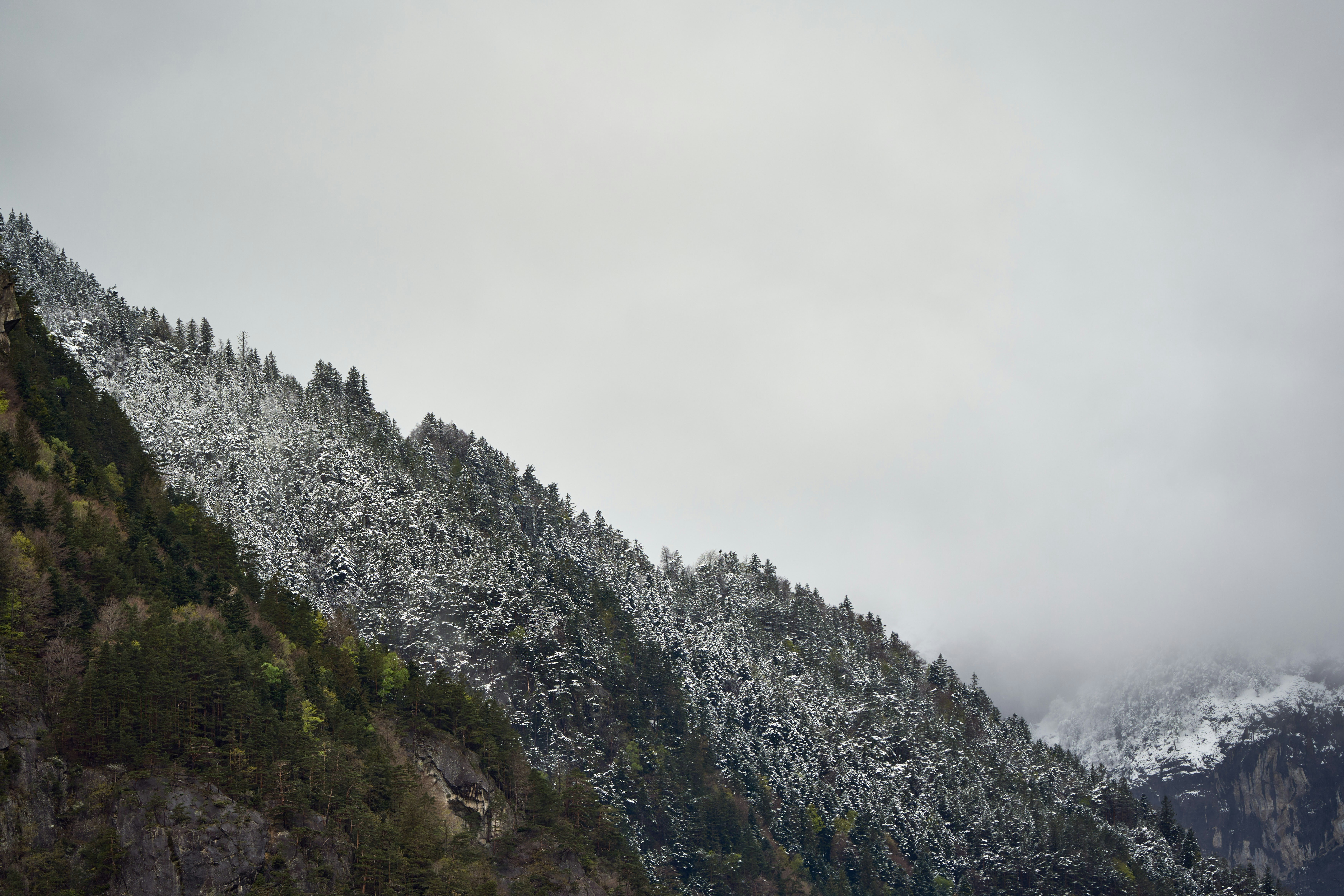 Photo by wolfgang_hasselmann