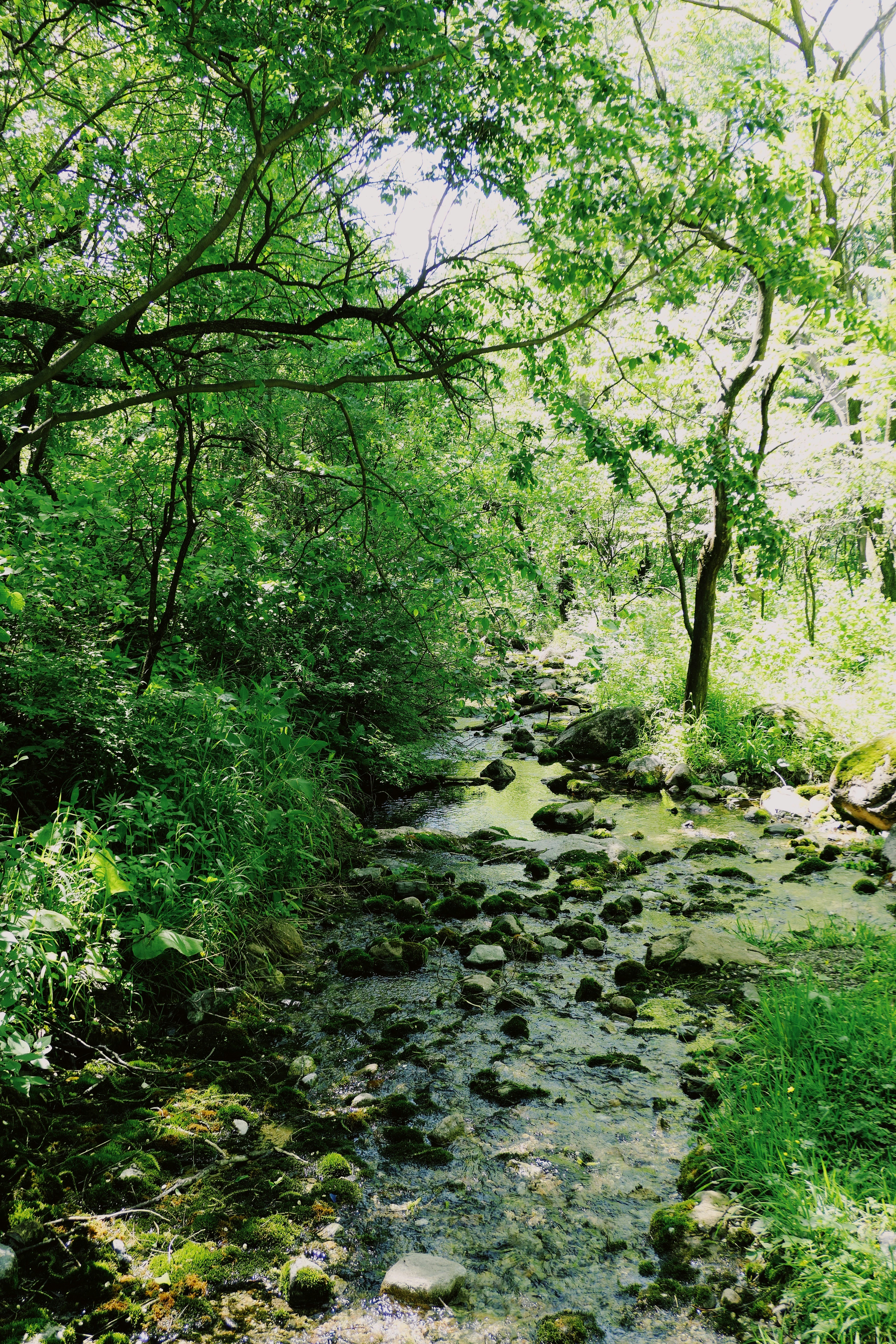 Photo by mianmian1997